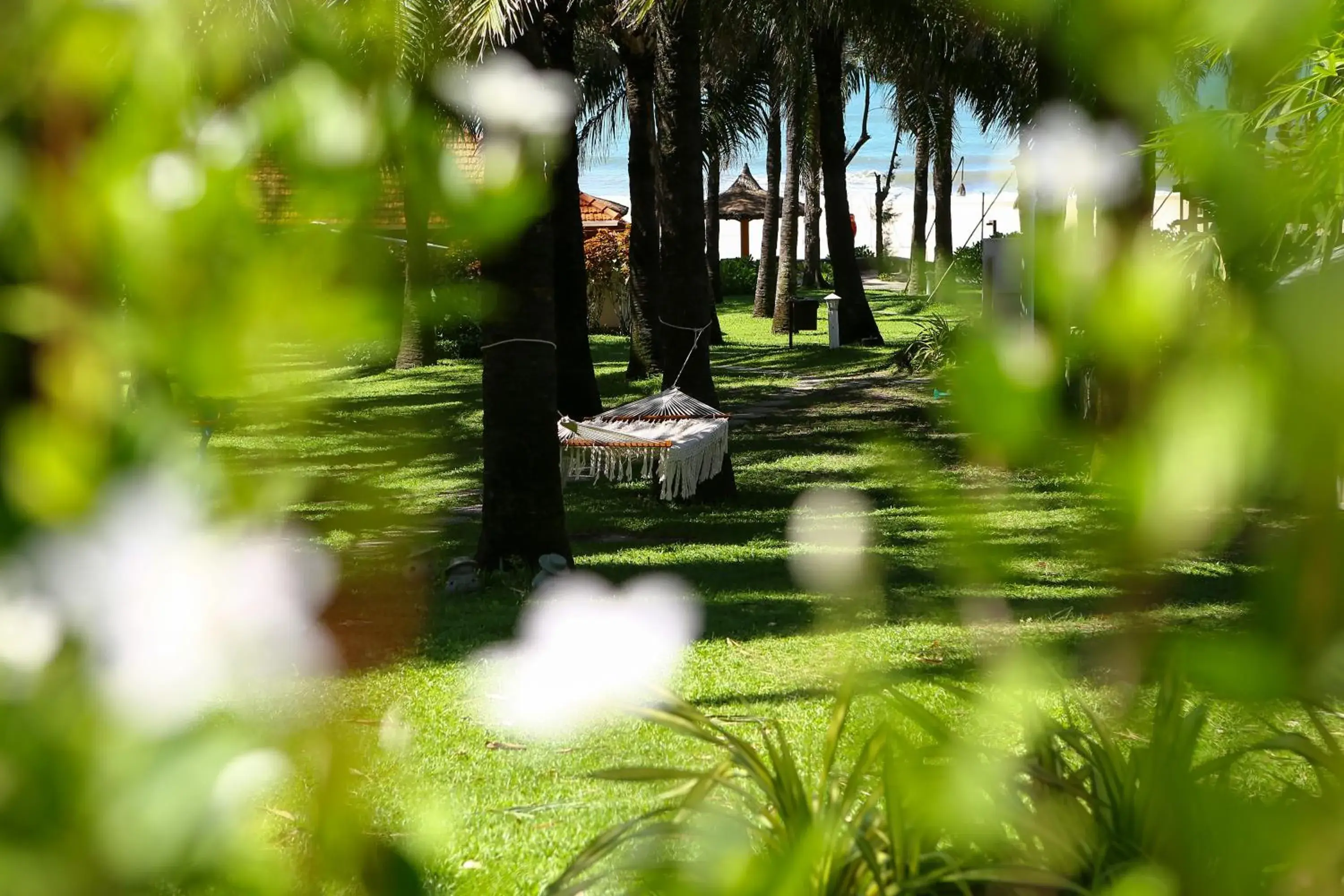 Garden view in Phu Hai Beach Resort & Spa Phan Thiet Garden view in Phu Hai Beach Resort & Spa Phan Thiet