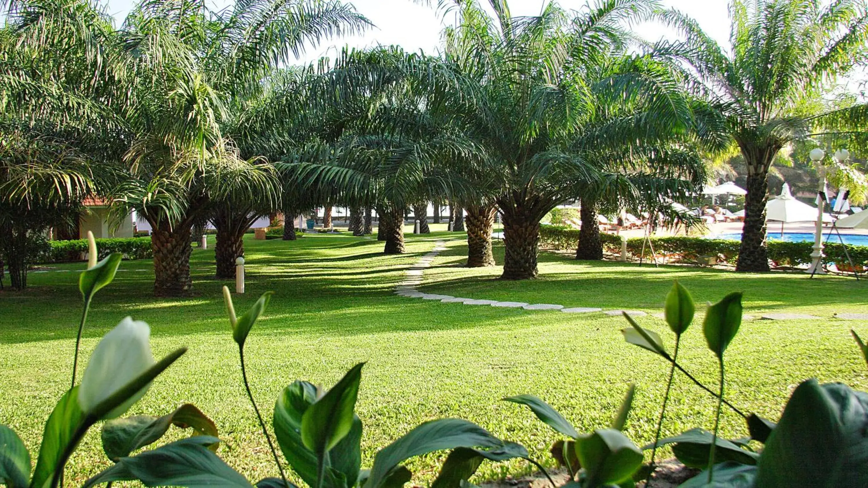 Garden view in Phu Hai Beach Resort & Spa Phan Thiet Garden view in Phu Hai Beach Resort & Spa Phan Thiet