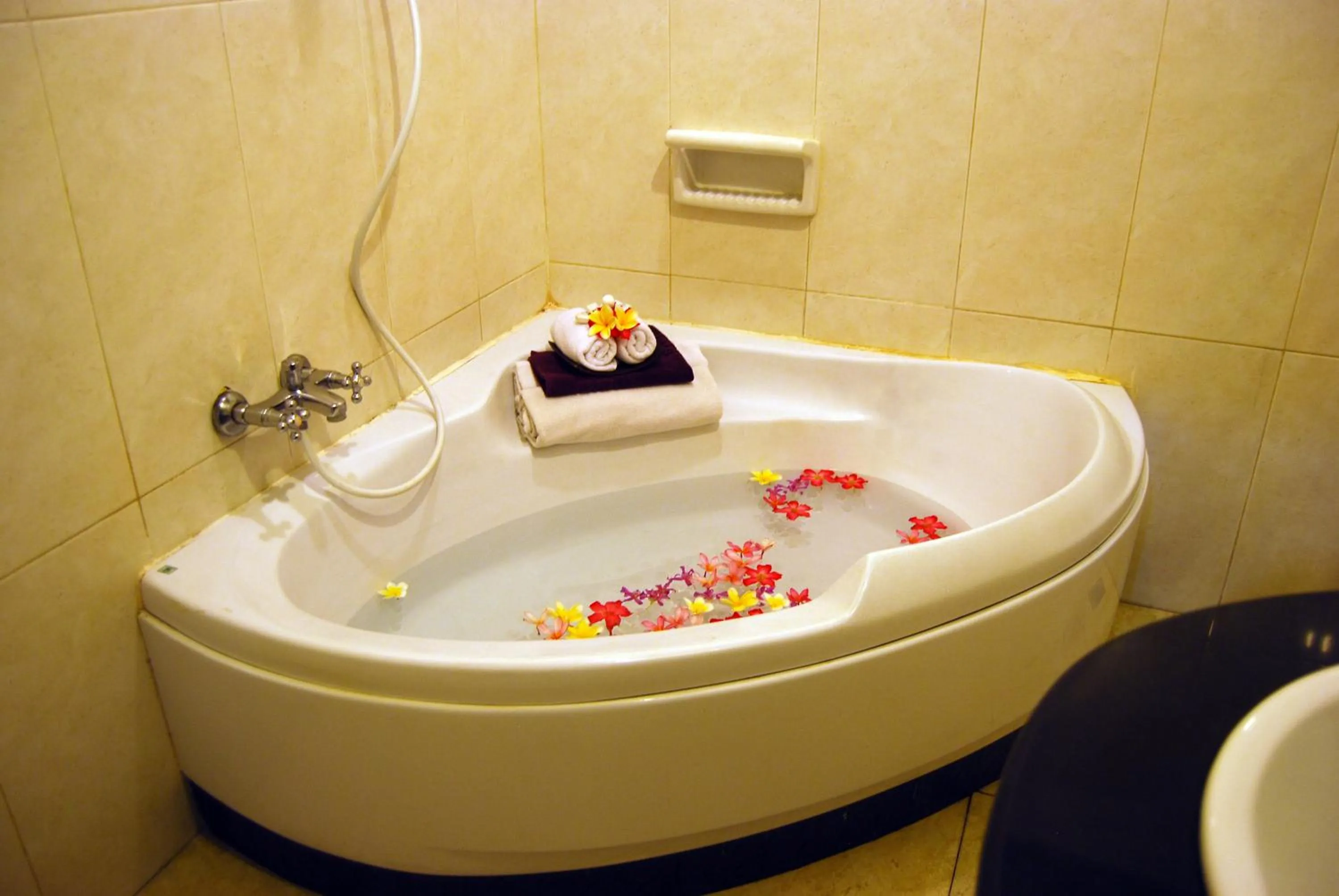 Stana Puri Gopa Hotel