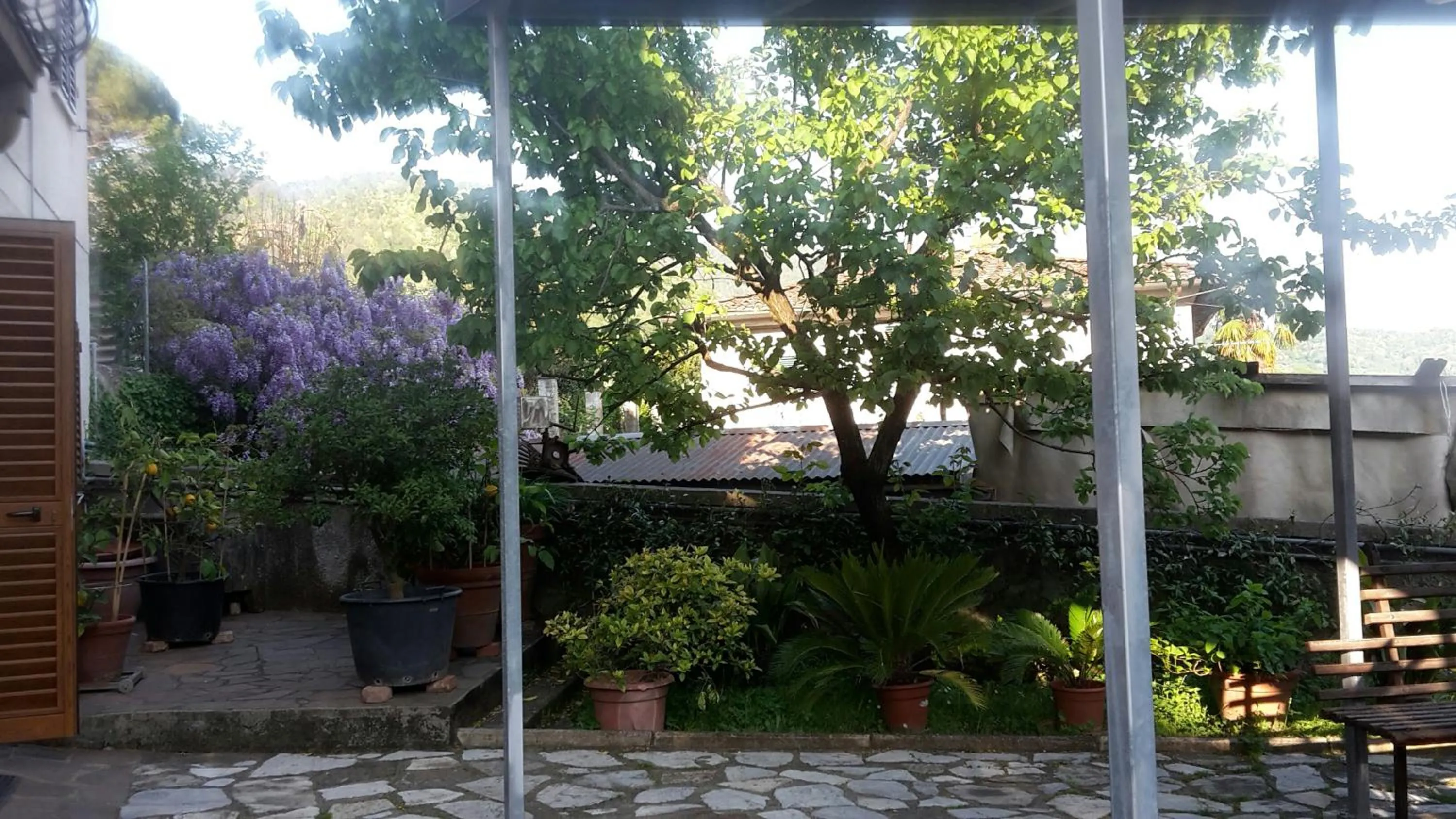 Garden view in Gessy's