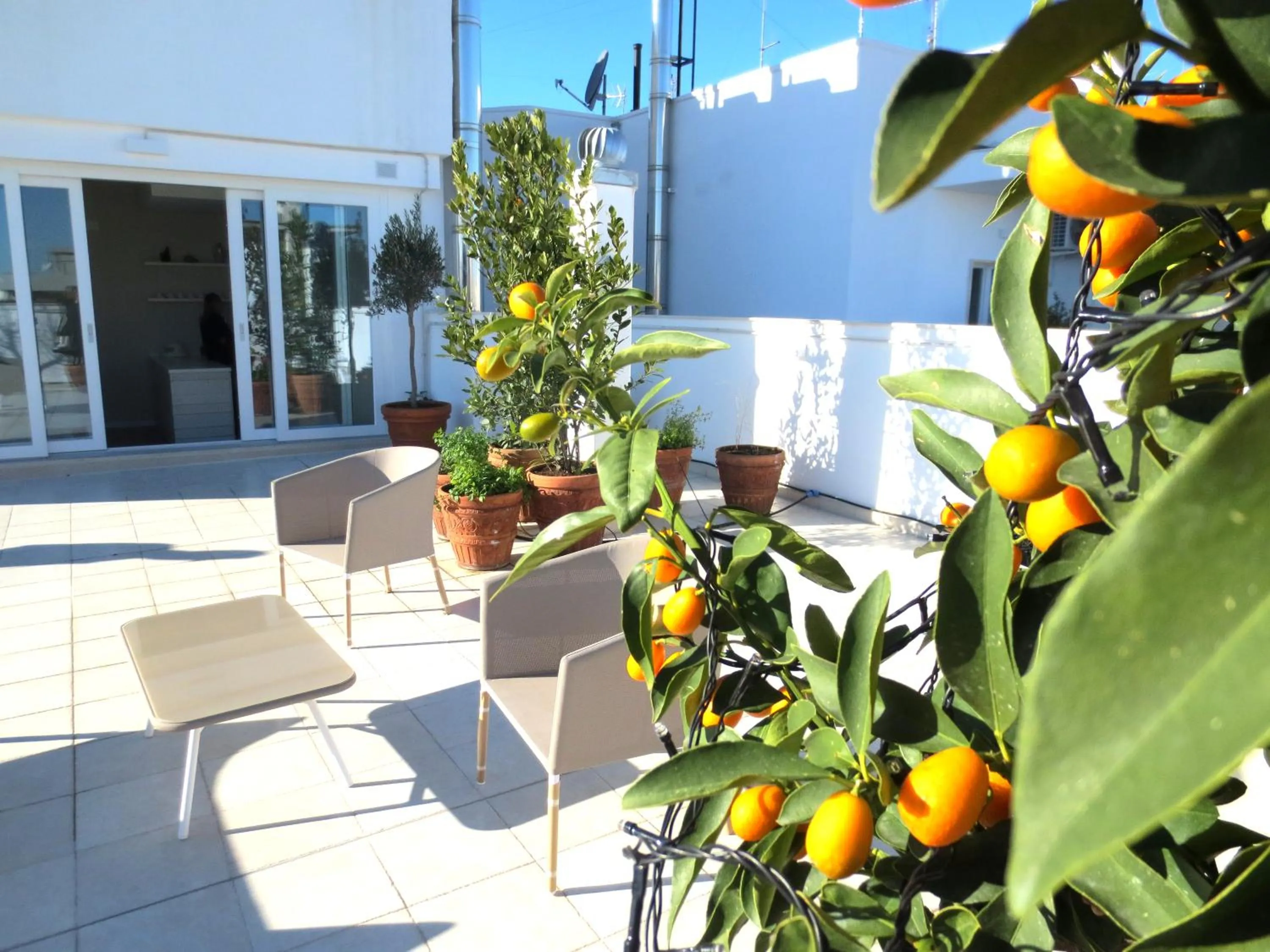 Balcony/Terrace in Gatto Bianco Le Terrazze