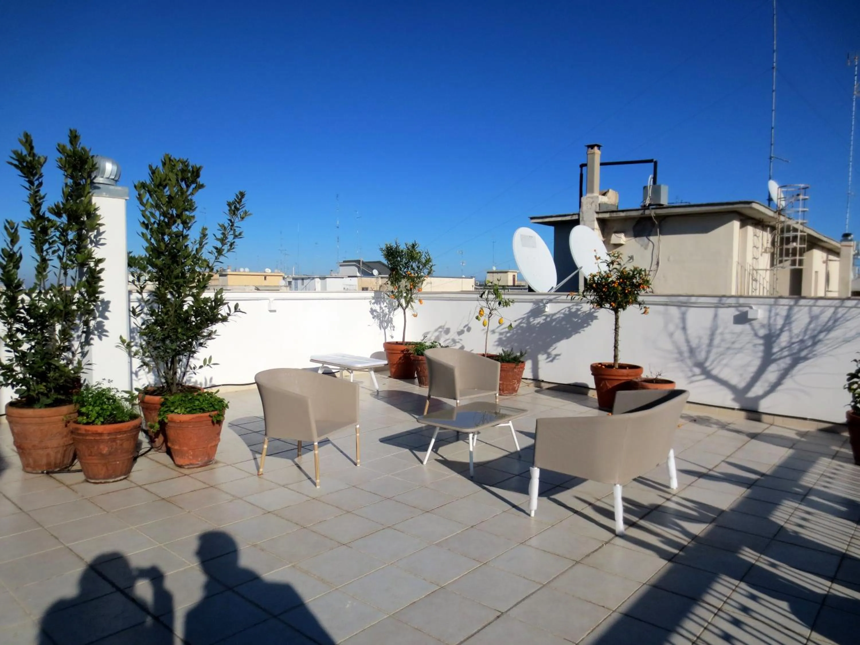 Balcony/Terrace in Gatto Bianco Le Terrazze