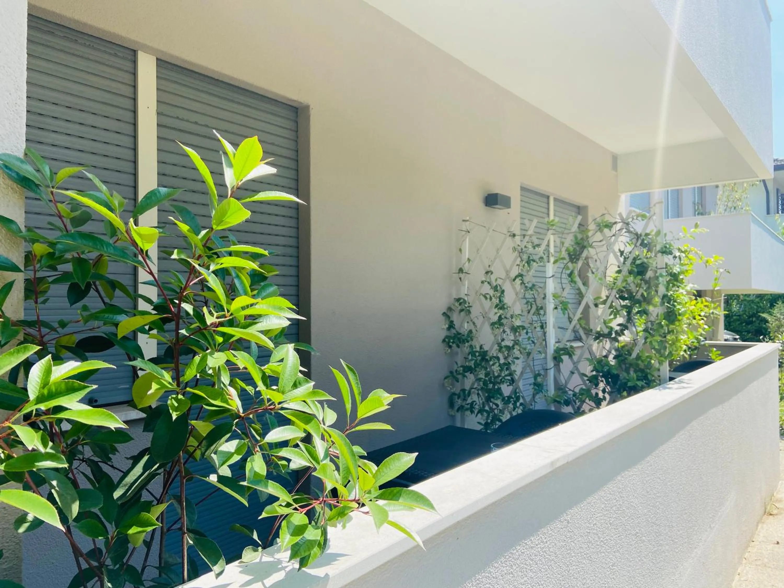 Property building in Hotel Volta