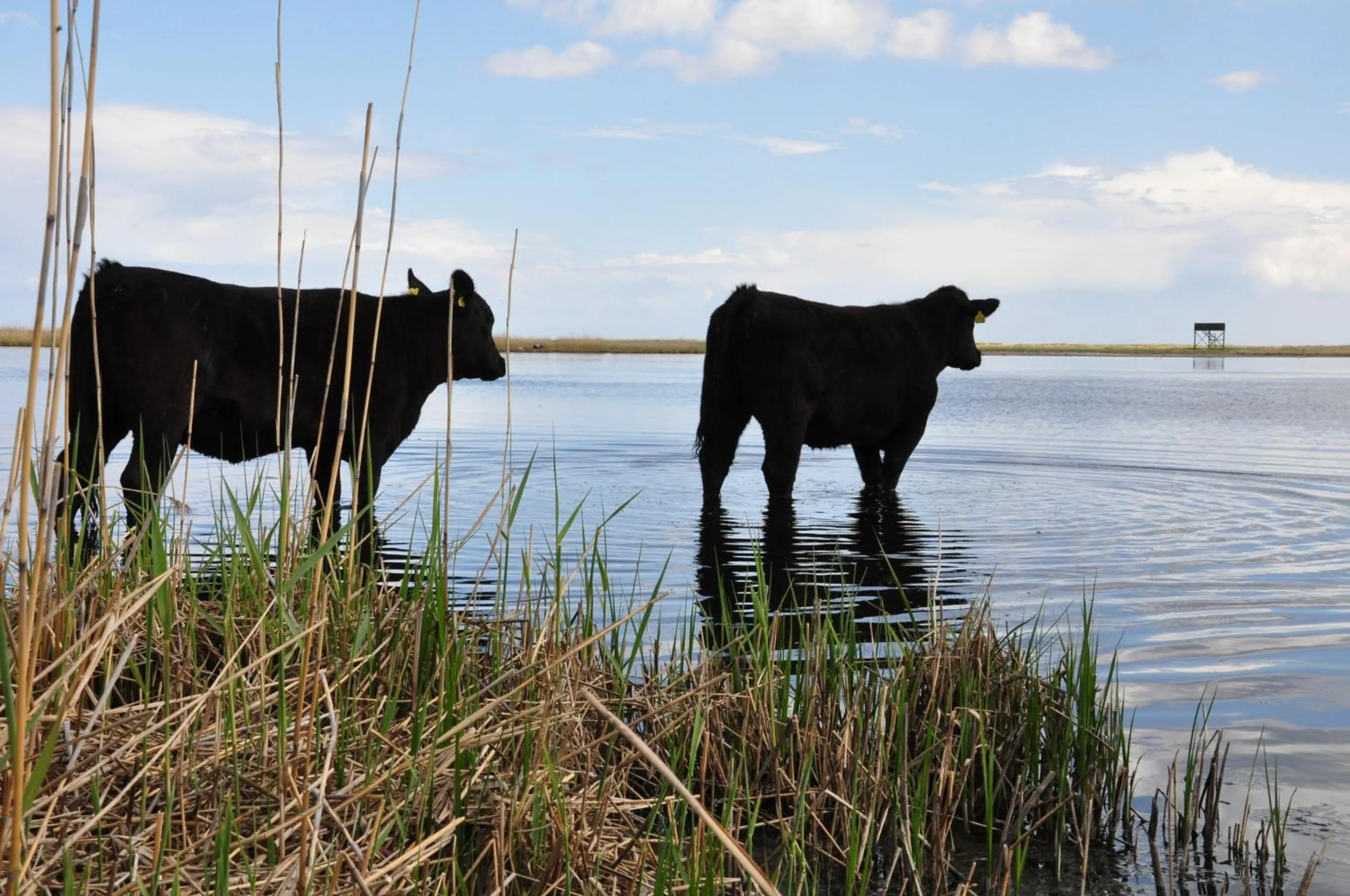 Fishing in Annas Hotell