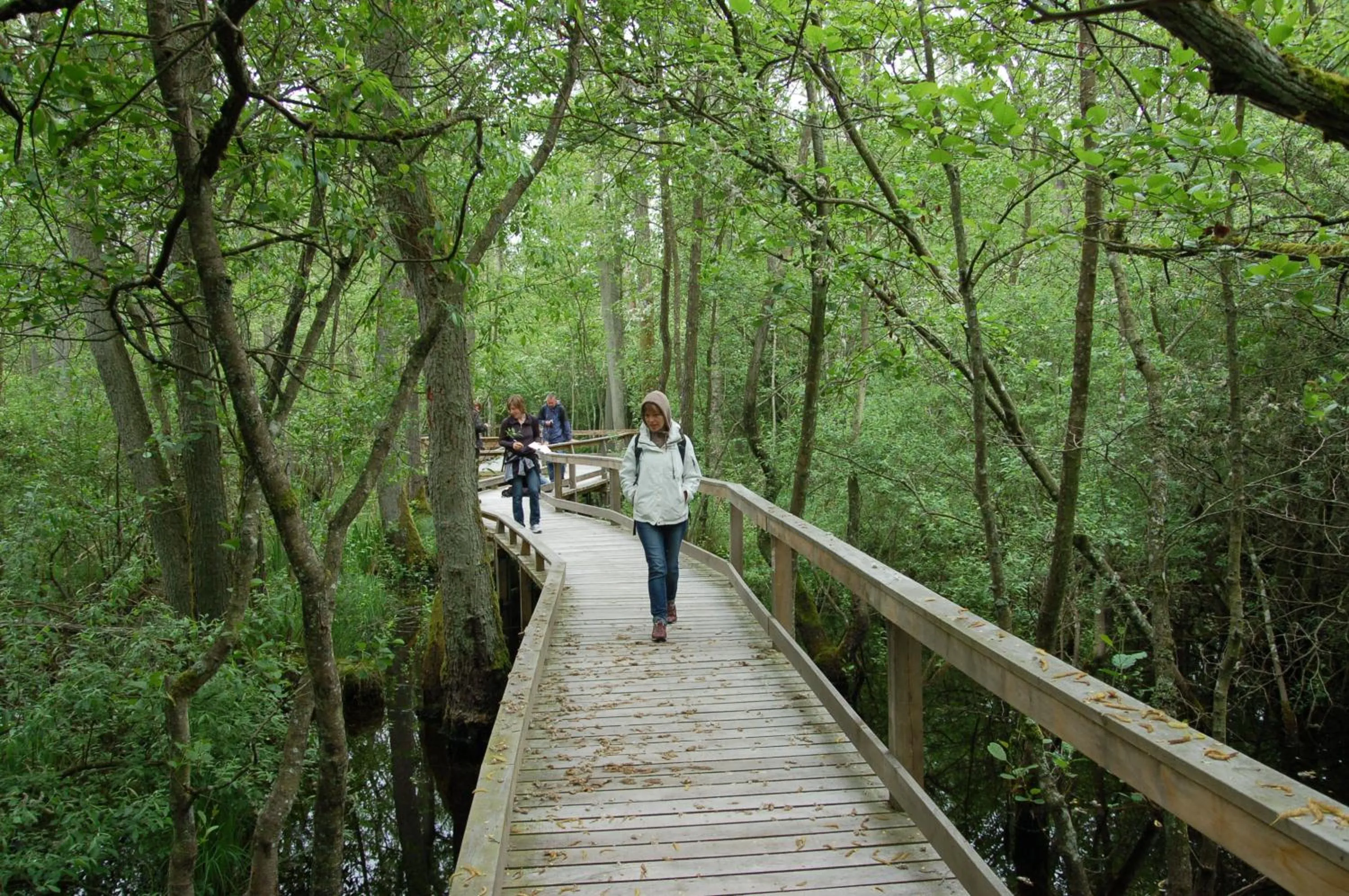 Area and facilities in Annas Hotell