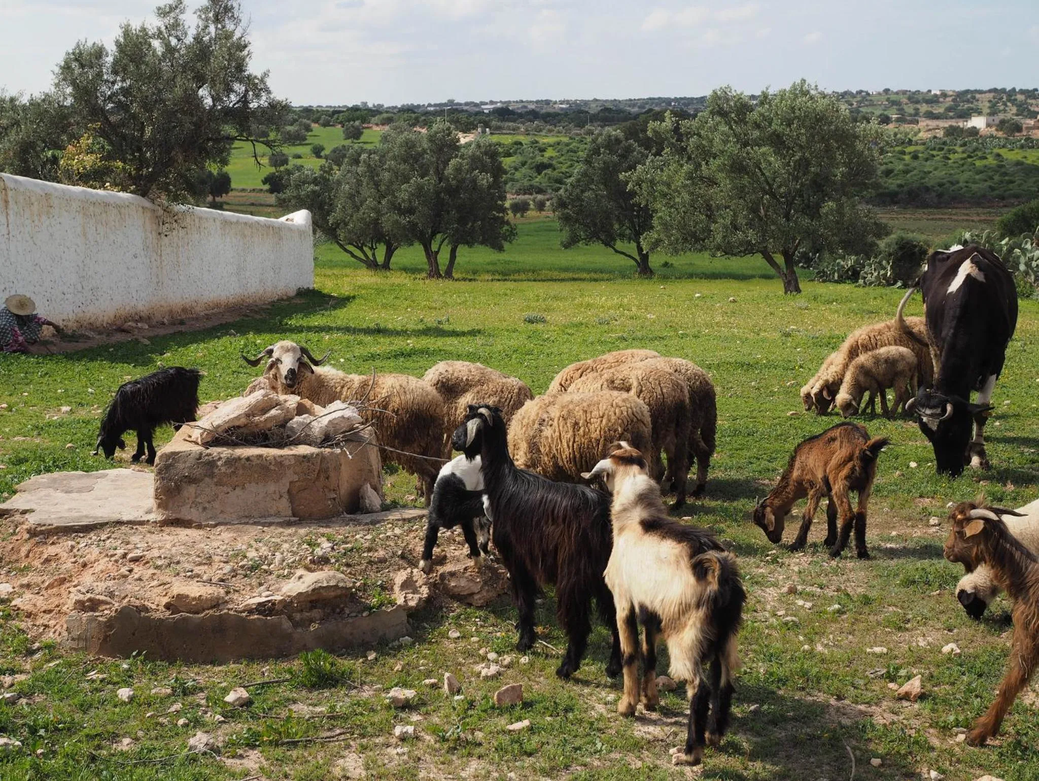 Natural landscape in Dar Rahaothello