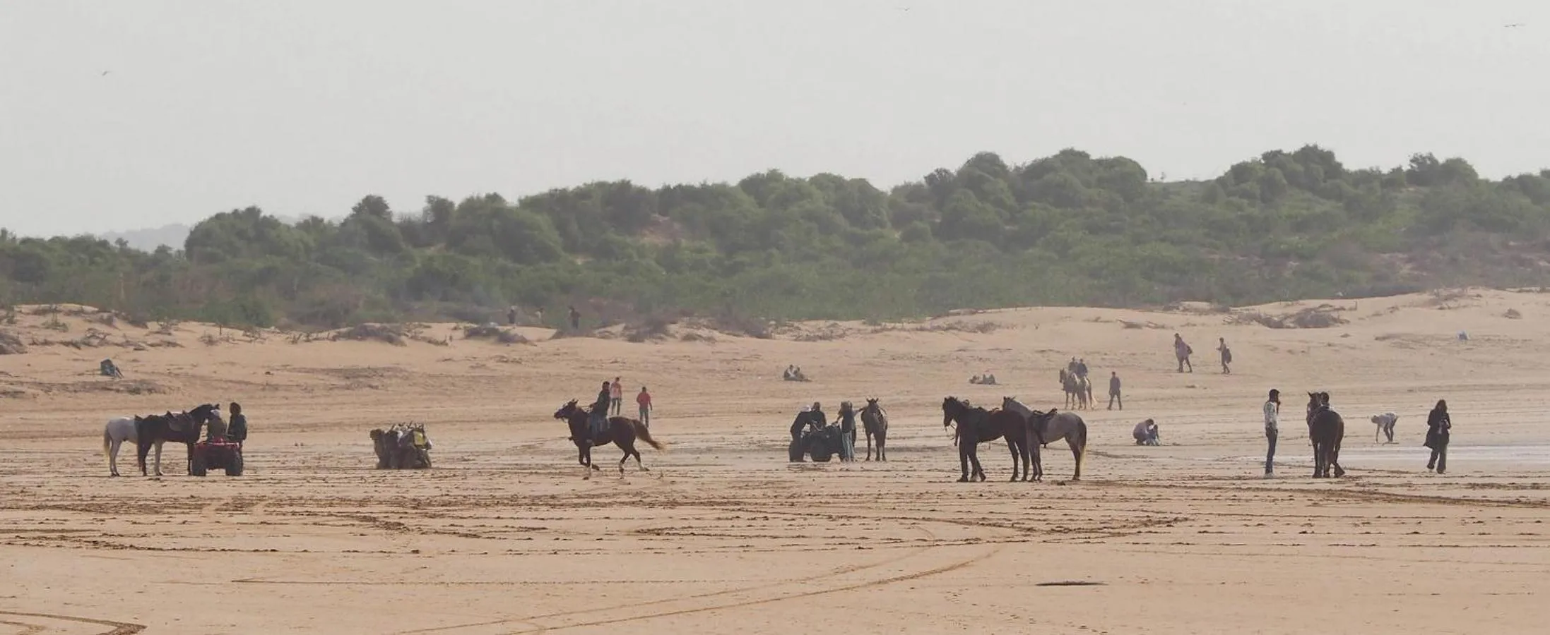 Horse-riding in Dar Rahaothello