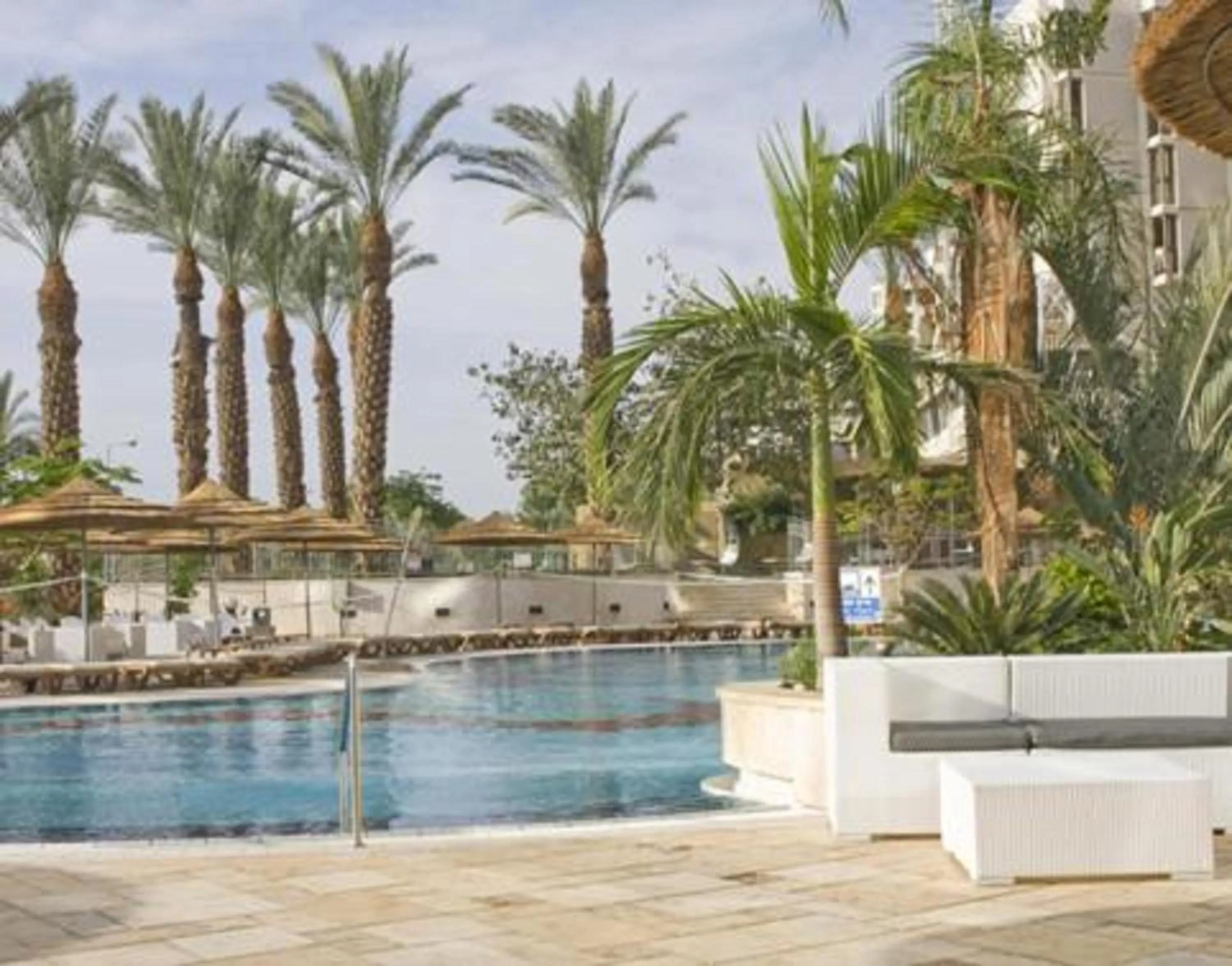 Swimming pool in Royal Dead Sea - Hotel & Spa