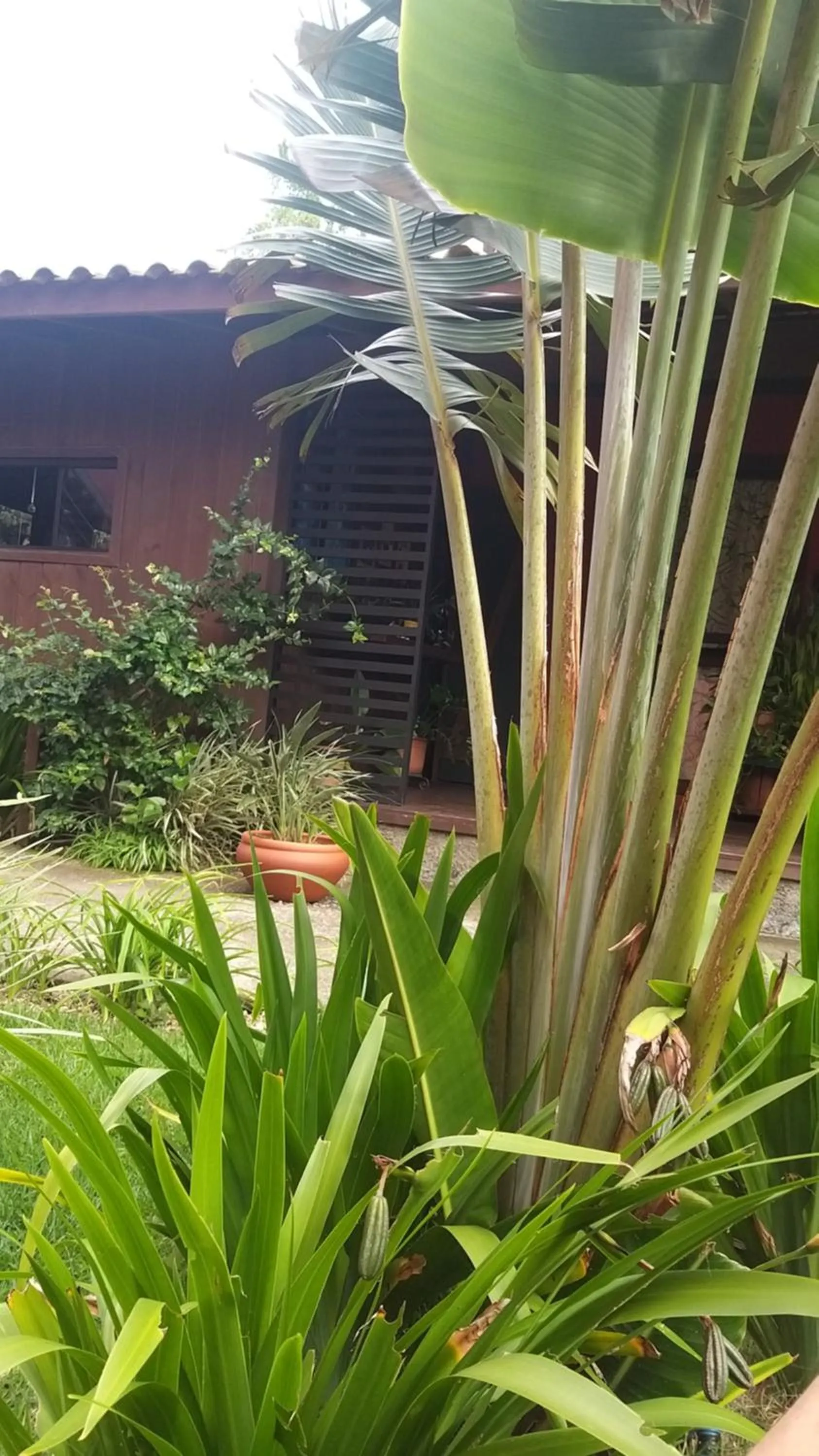 Santa Monica Hospedaria