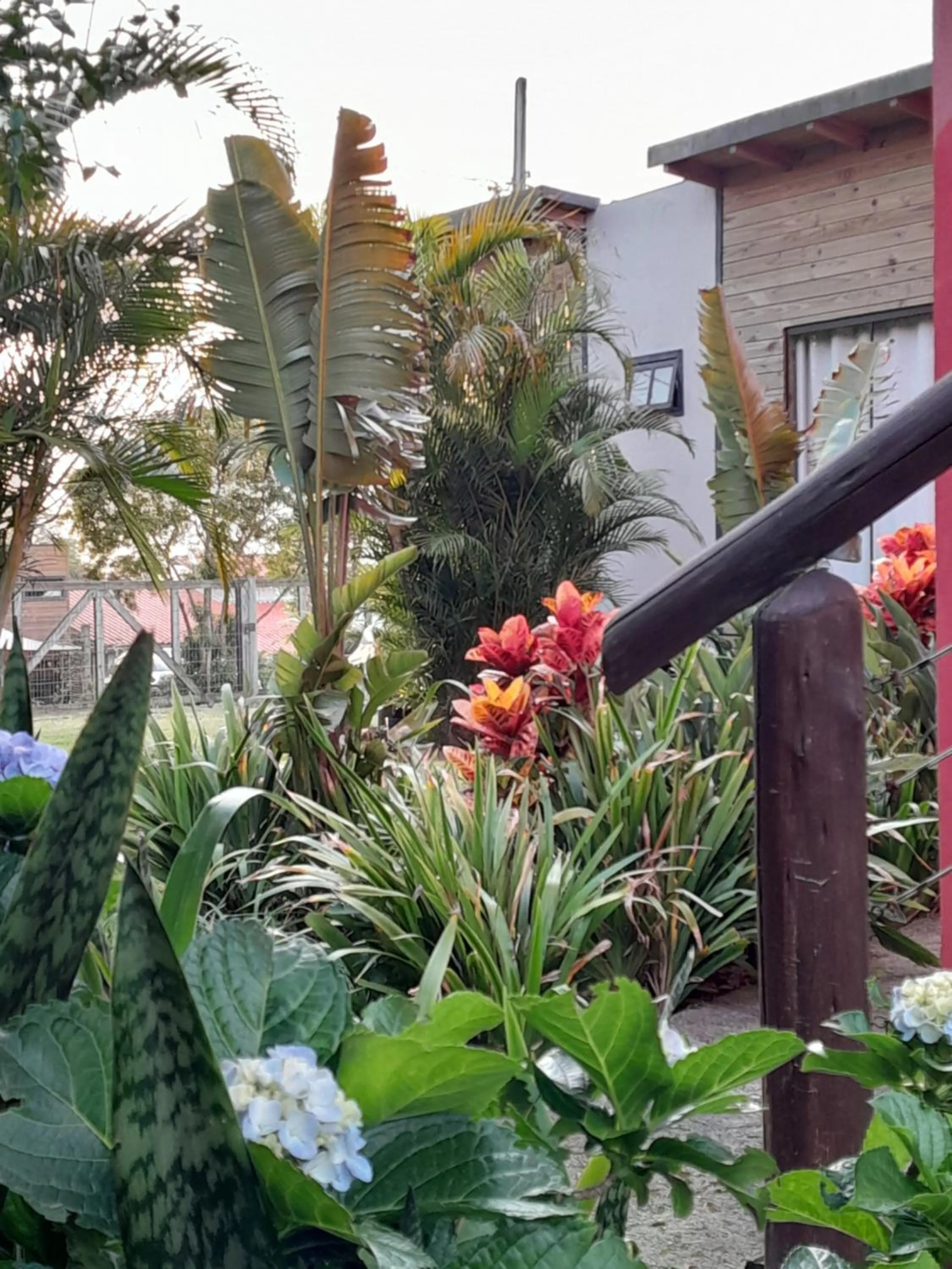 Santa Monica Hospedaria