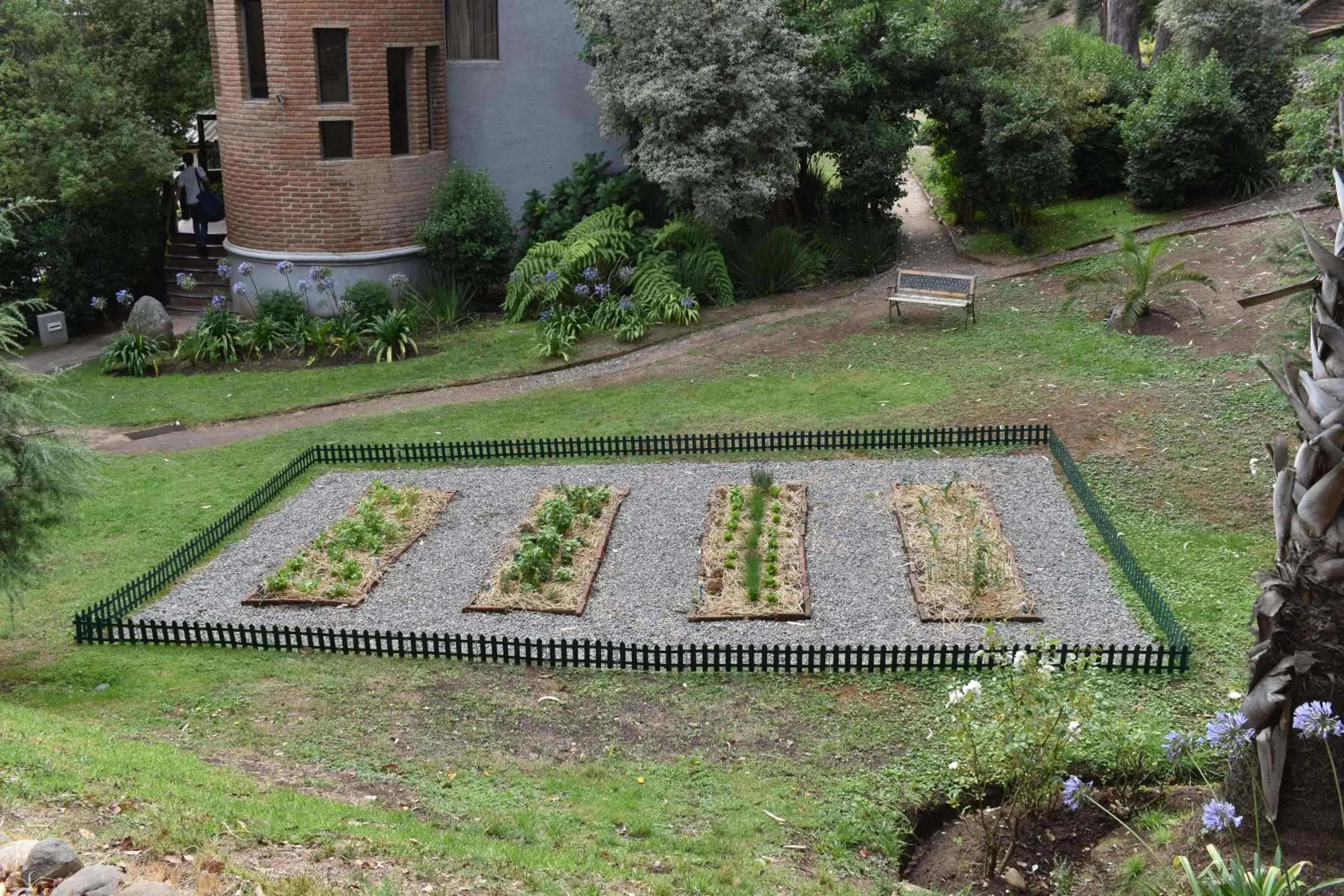 Food and drinks in Hotel Bosque de Reñaca Food and drinks in Hotel Bosque de Reñaca