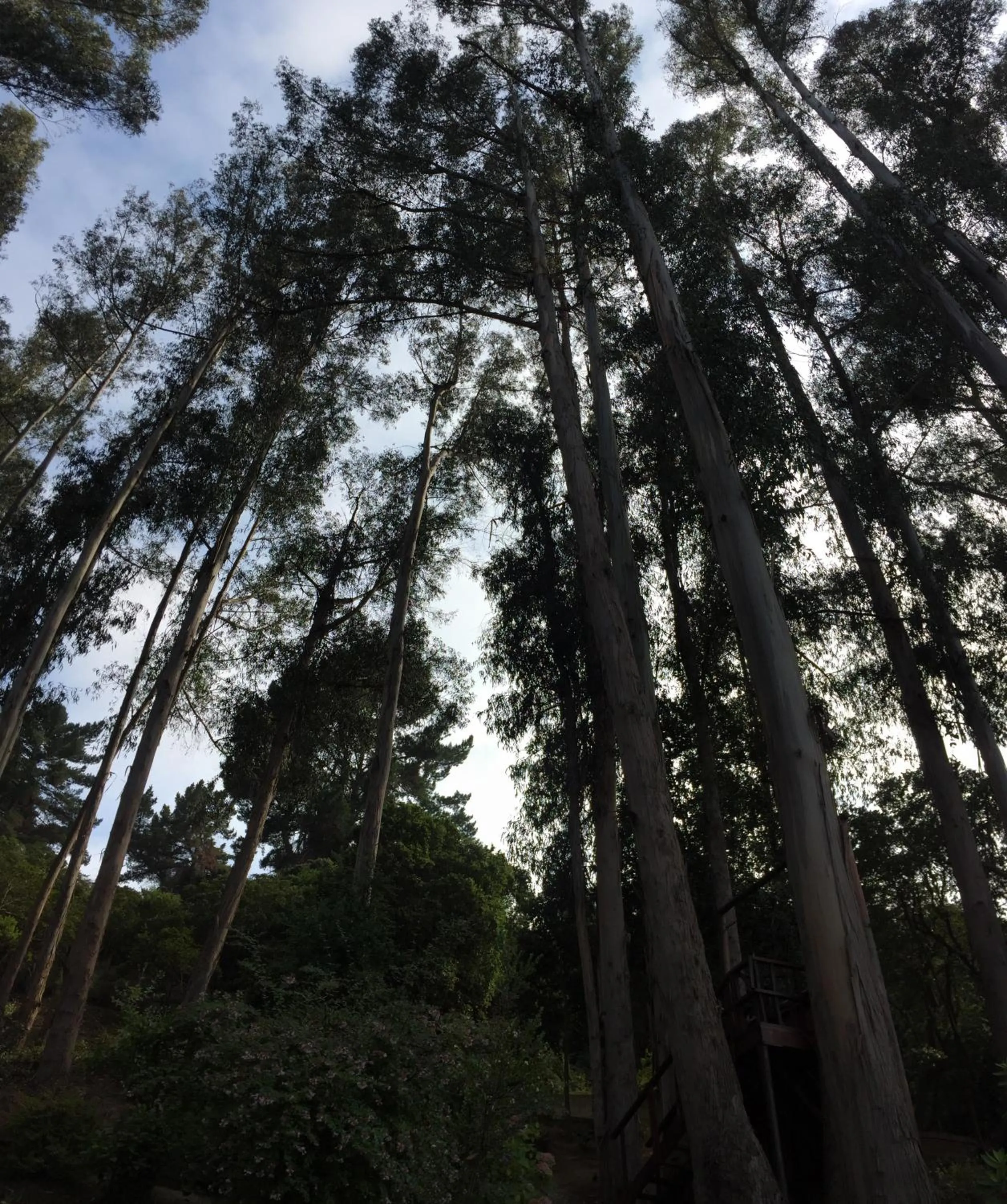 View (from property/room) in Hotel Bosque de Reñaca