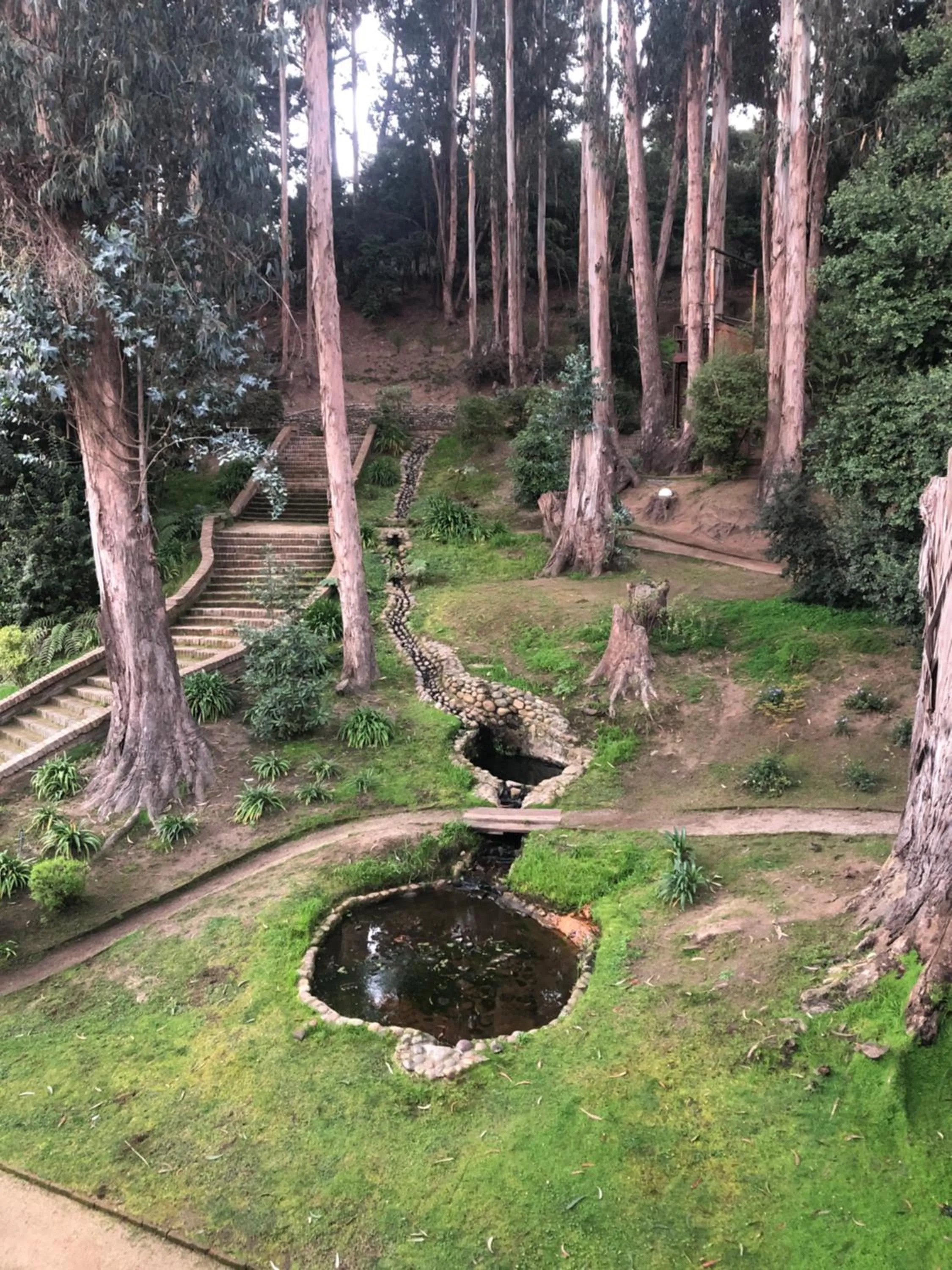 Natural landscape in Hotel Bosque de Reñaca