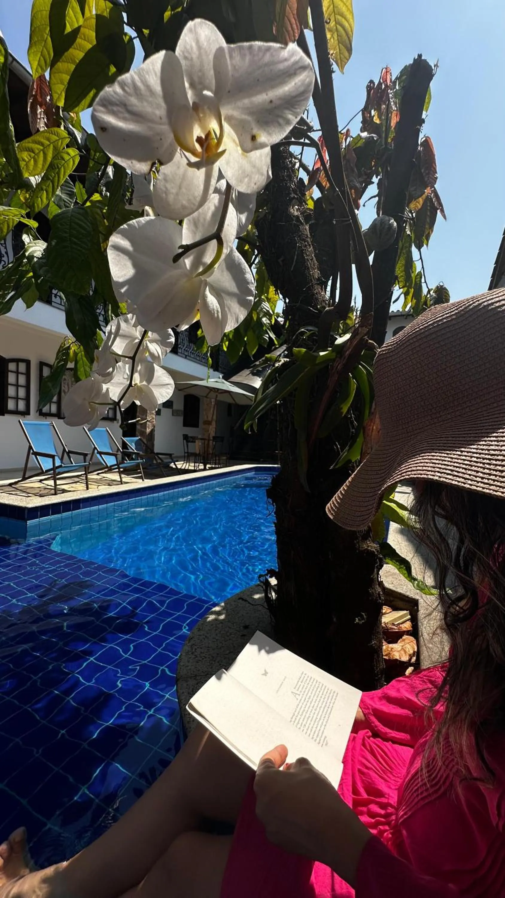 Garden view in Magnu´s Pousada