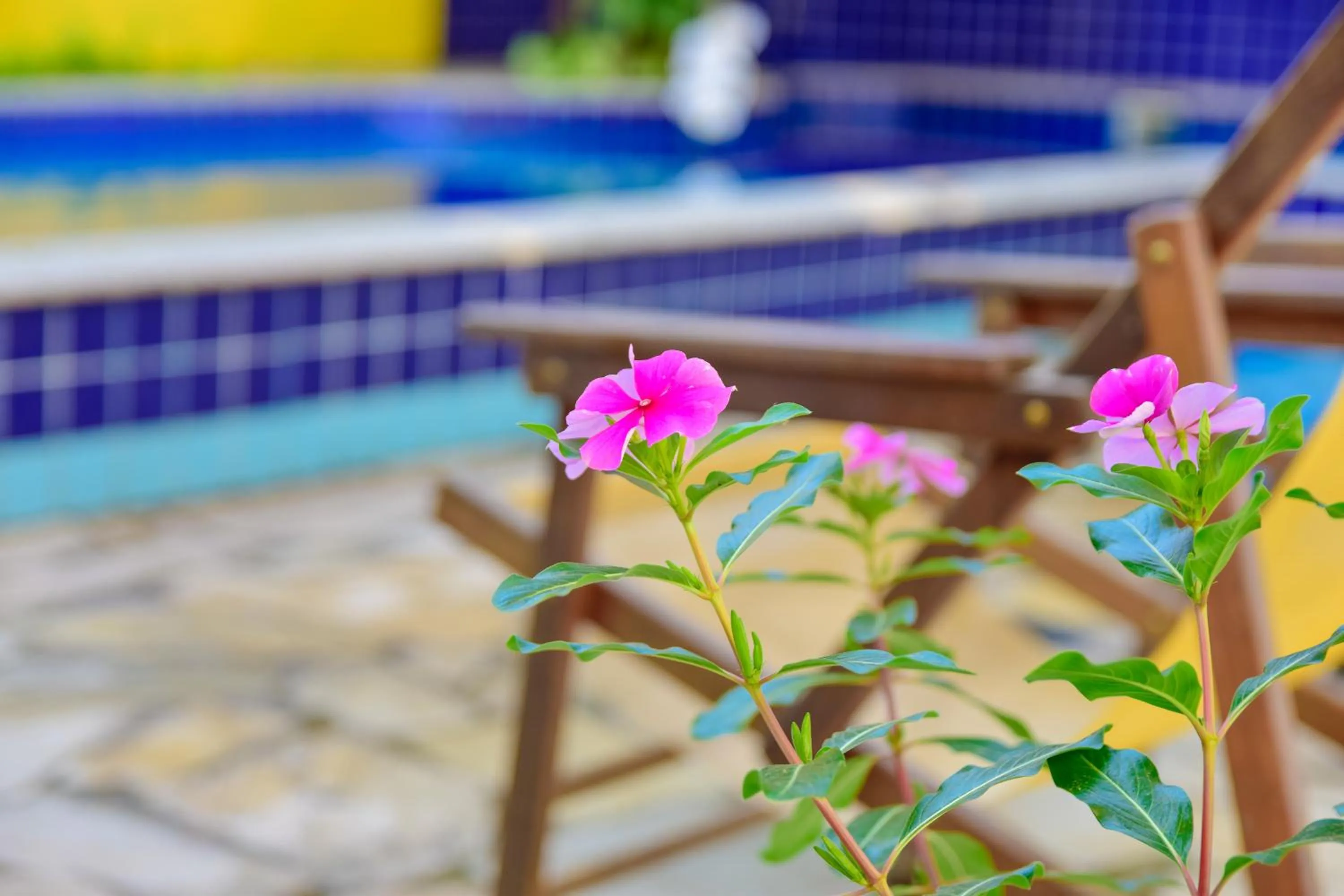 Autumn in Magnu´s Pousada