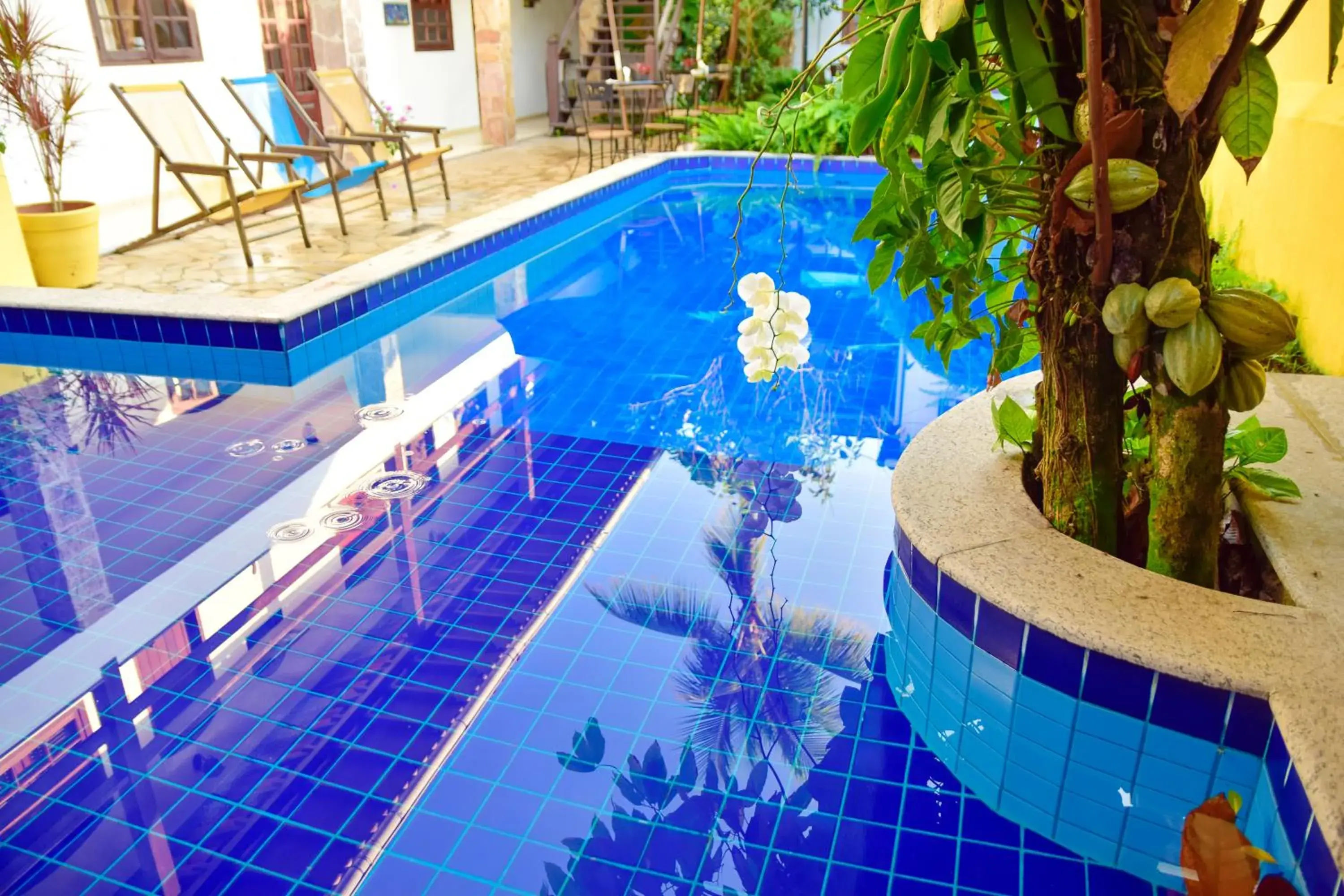 Pool view in Magnu´s Pousada Pool view in Magnu´s Pousada