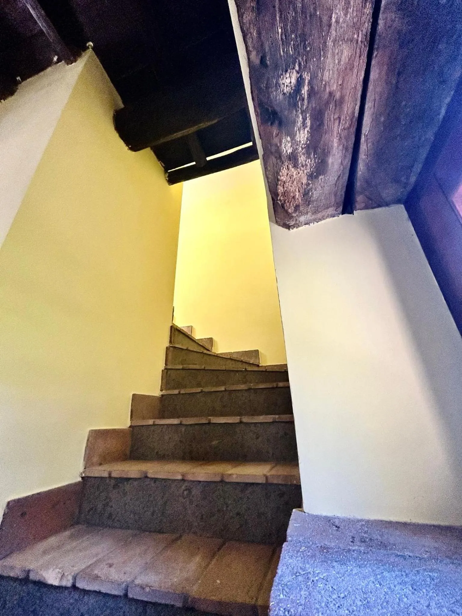Photo of the whole room in Podere La Branda