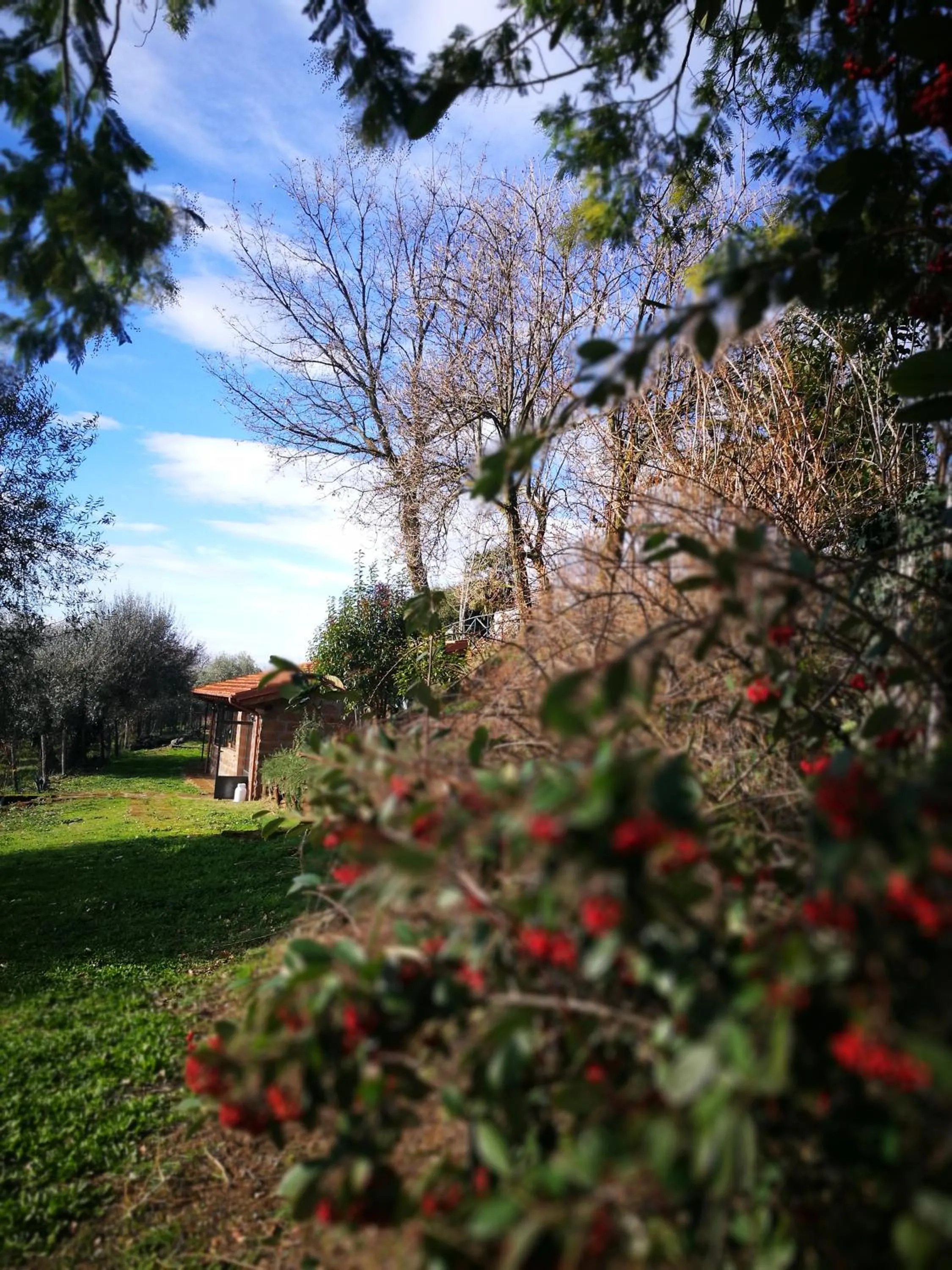 Garden in Podere La Branda