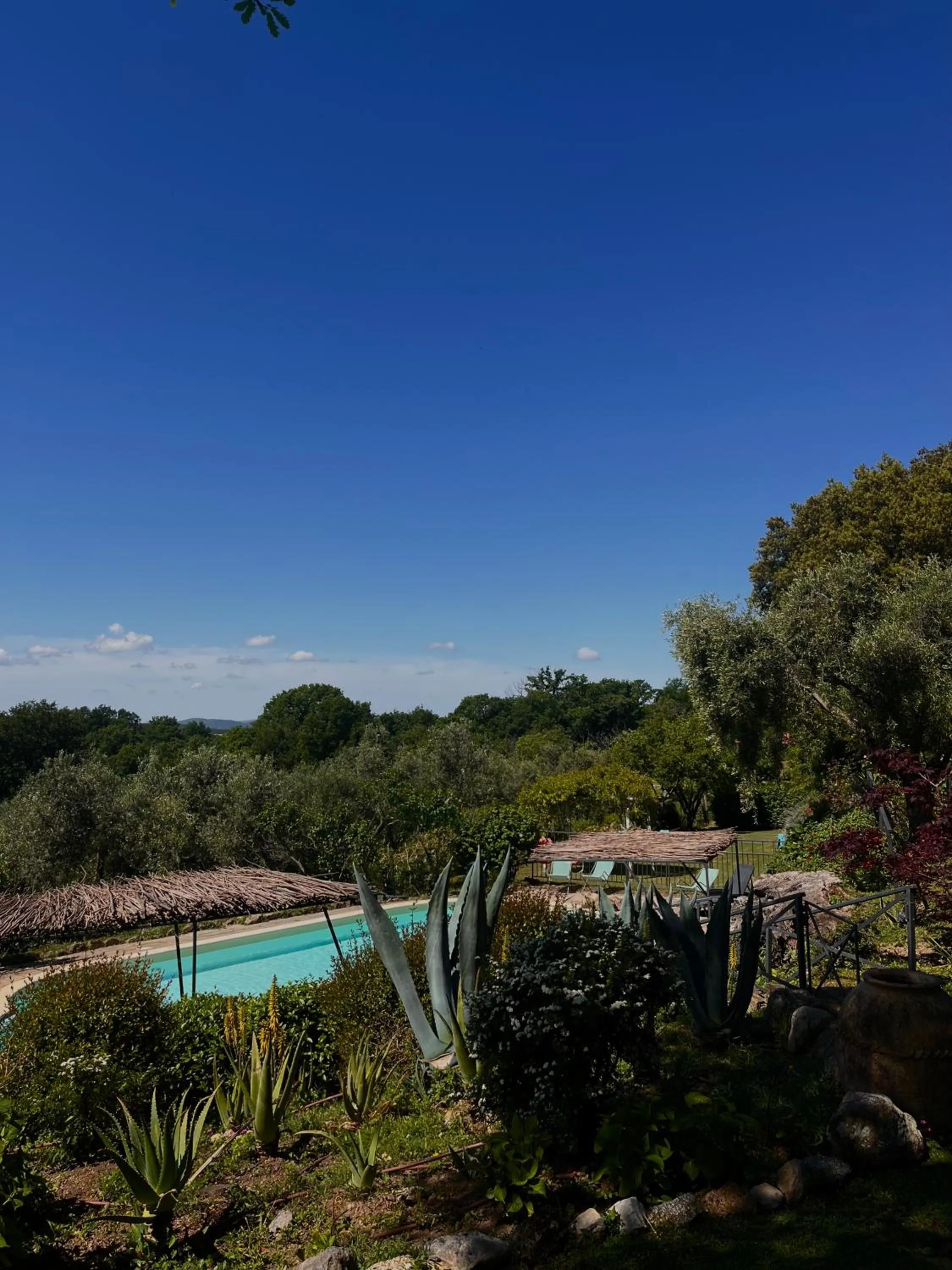 Swimming pool in Podere La Branda