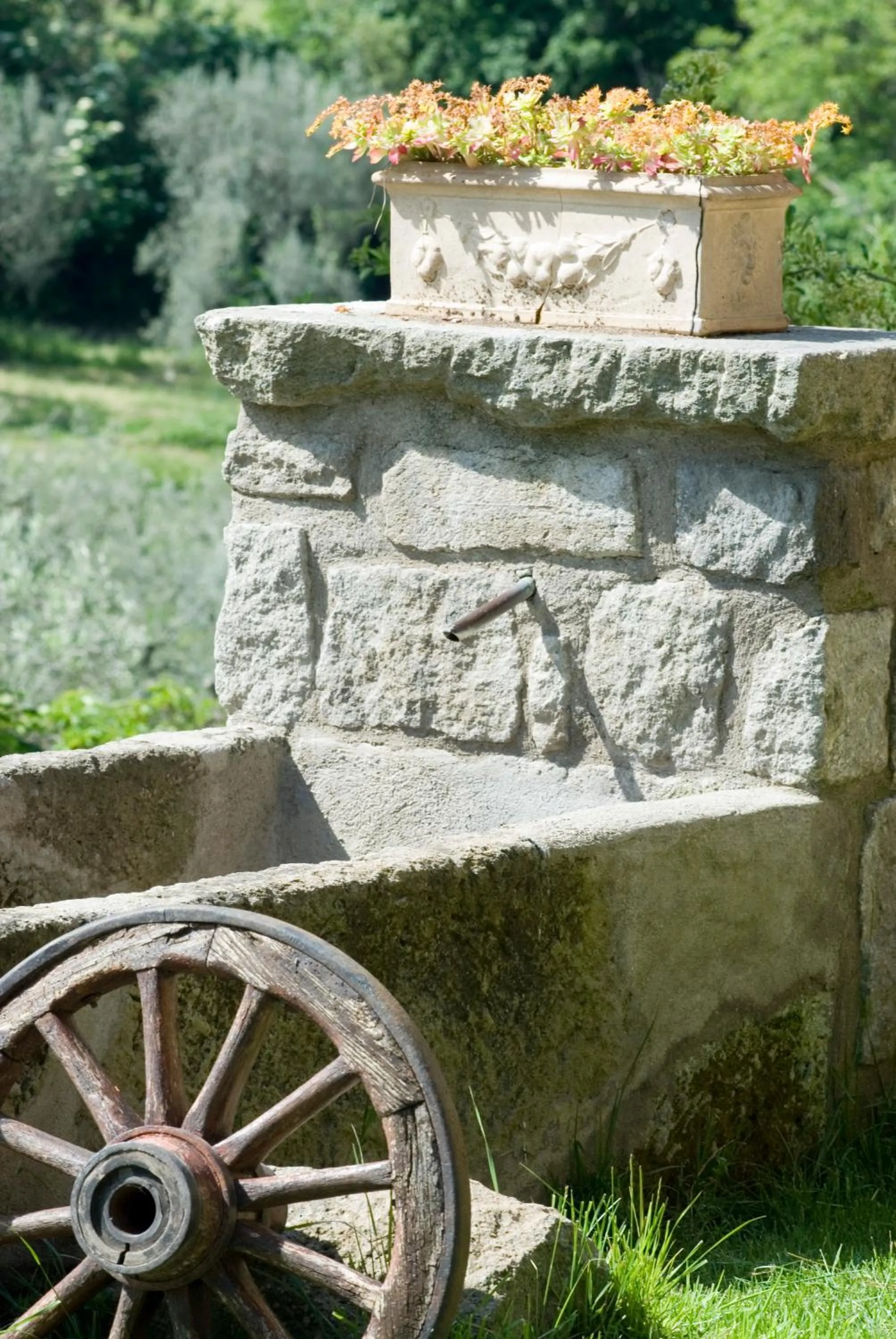 View (from property/room) in Podere La Branda