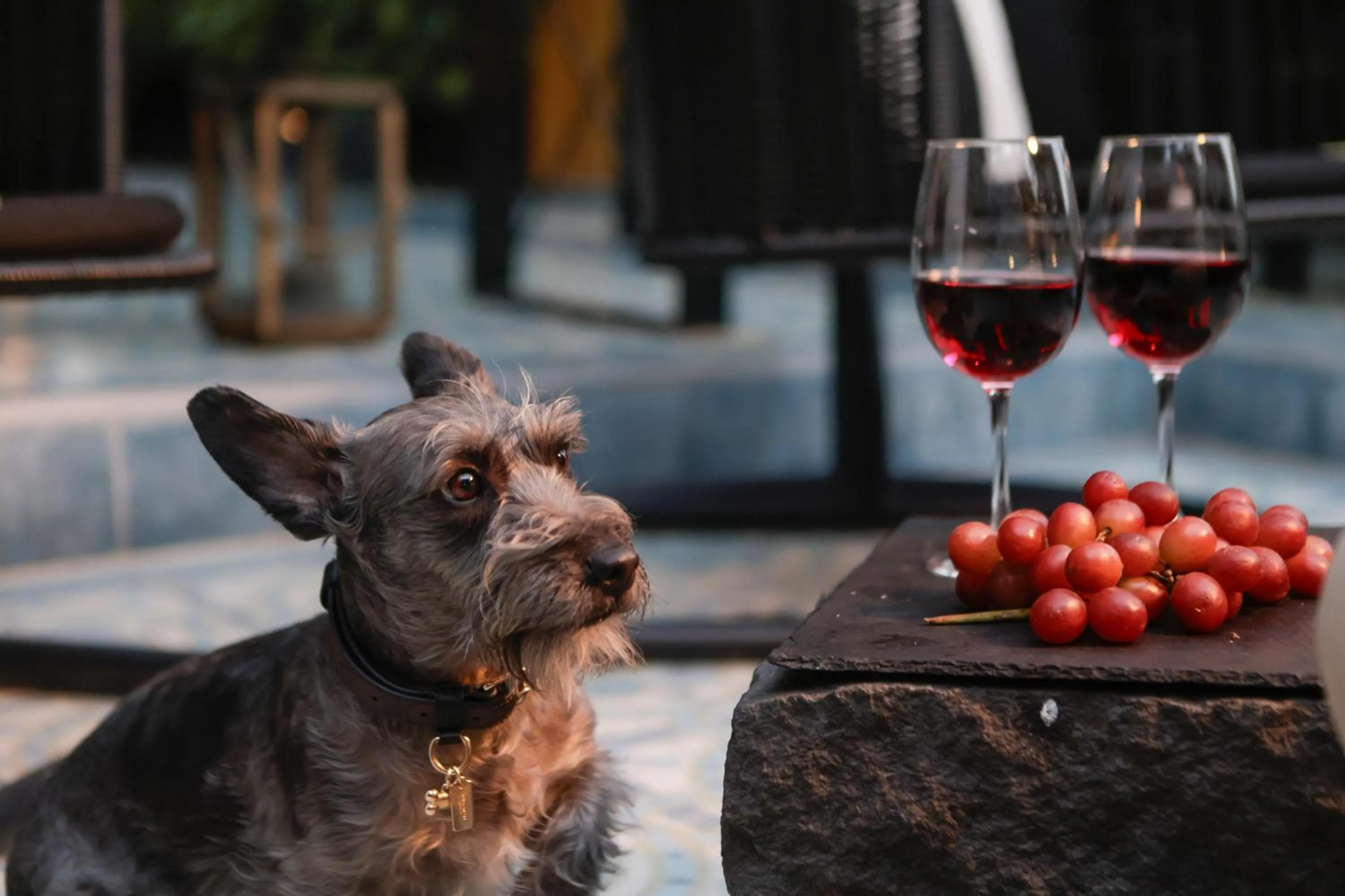 Food and drinks in Casa Decu