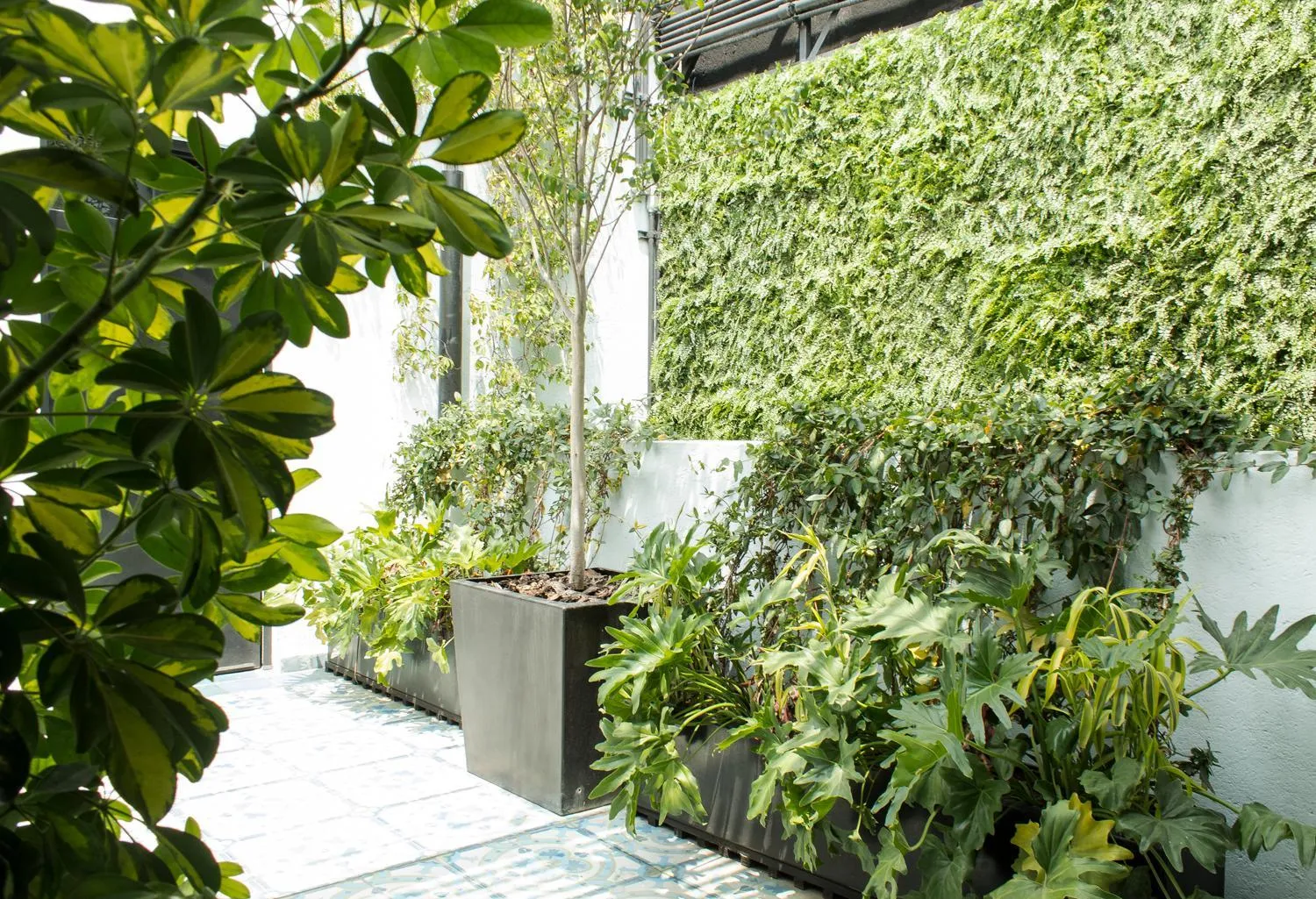 Balcony/Terrace in Casa Decu