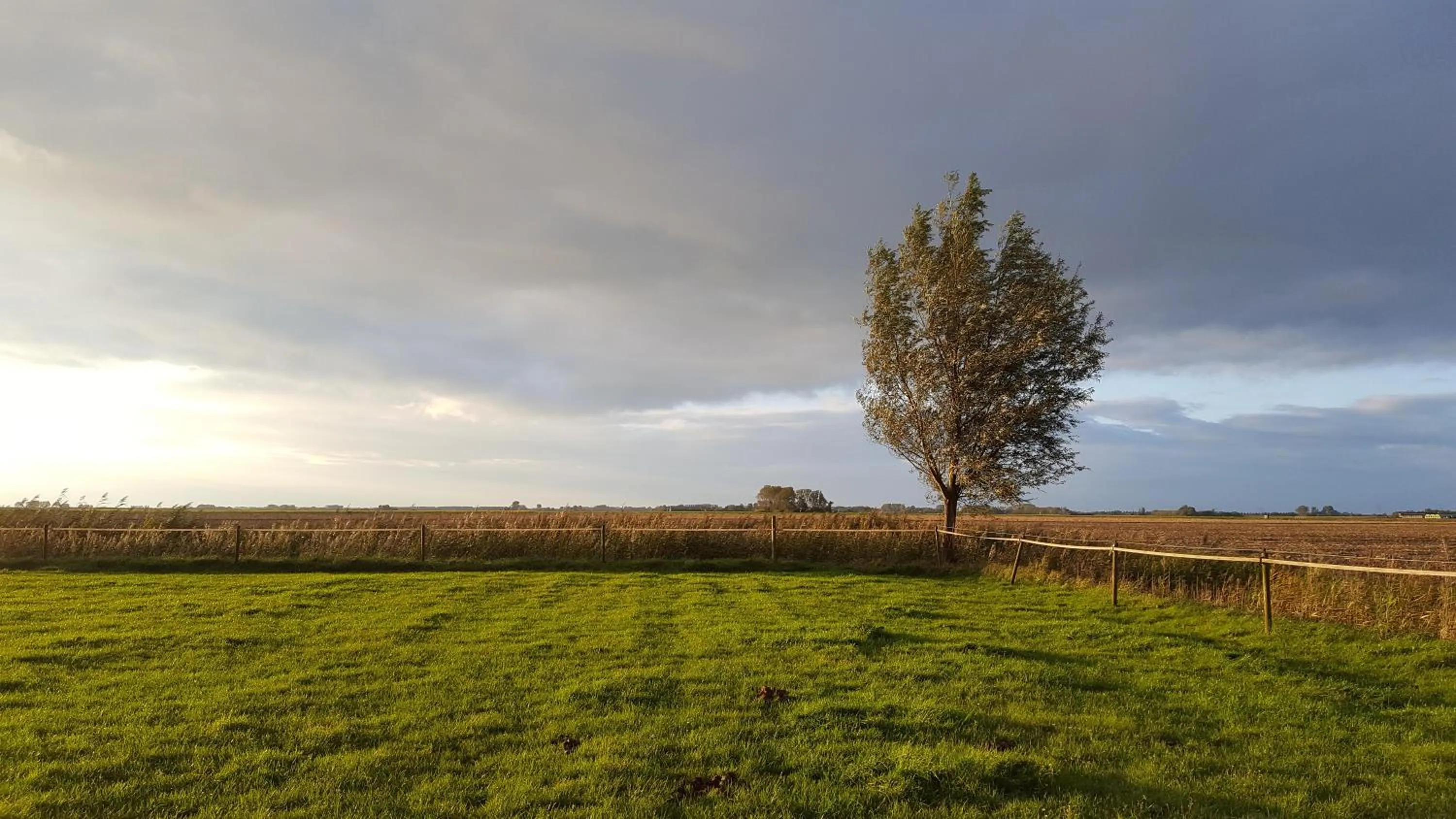 Natural landscape in BenB Zuidoord