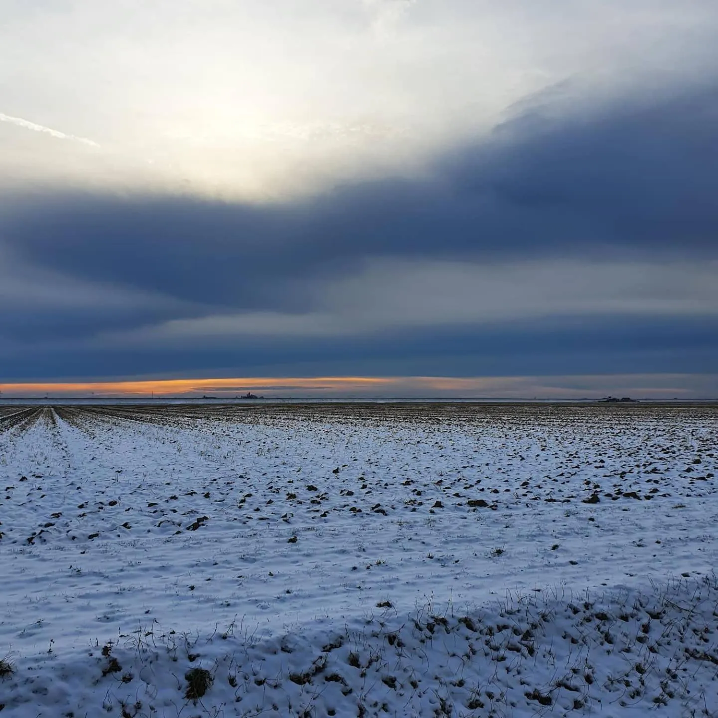 Natural landscape in BenB Zuidoord