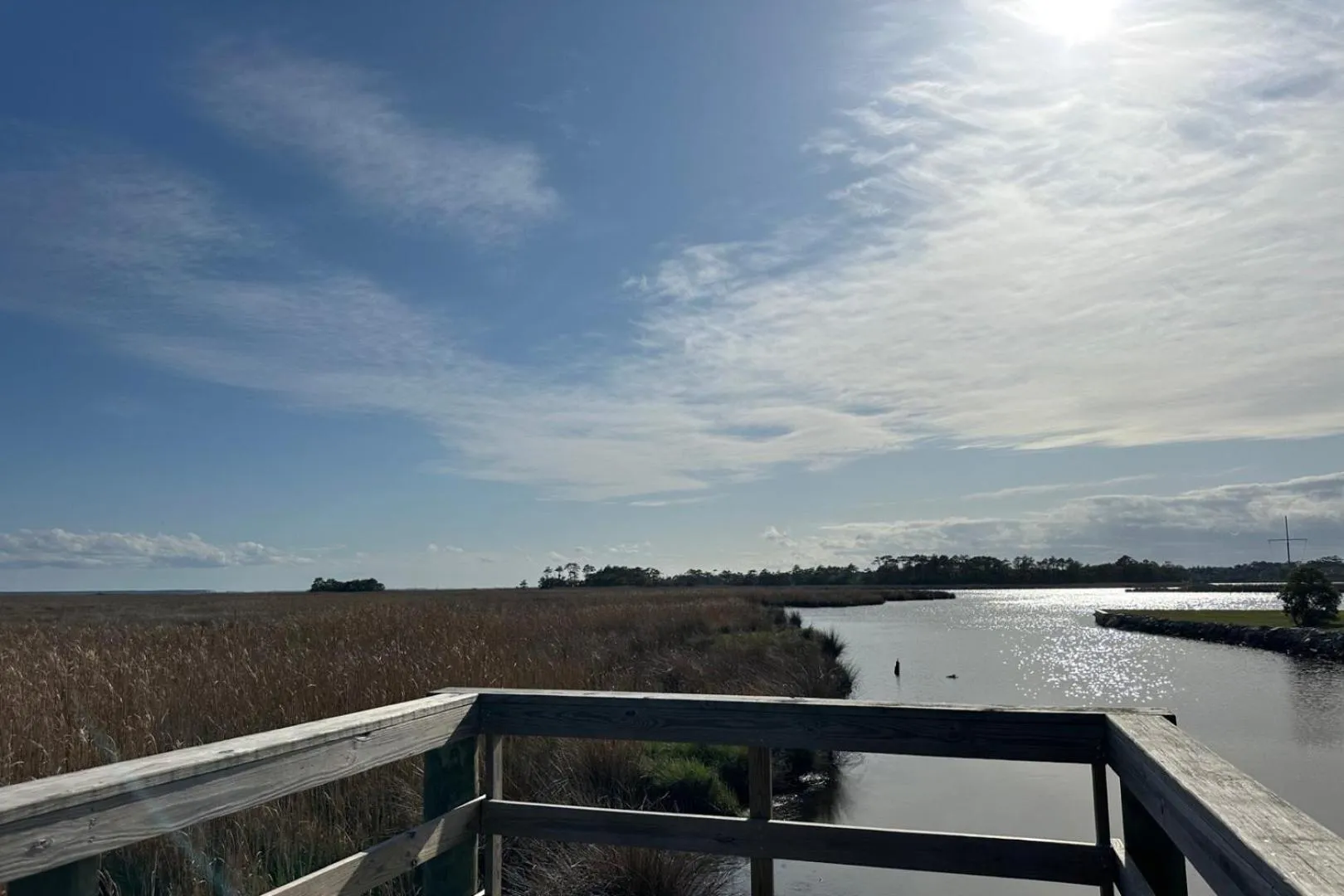 Natural landscape in Hamilton Cay at Bermuda Bay by Kees Vacations