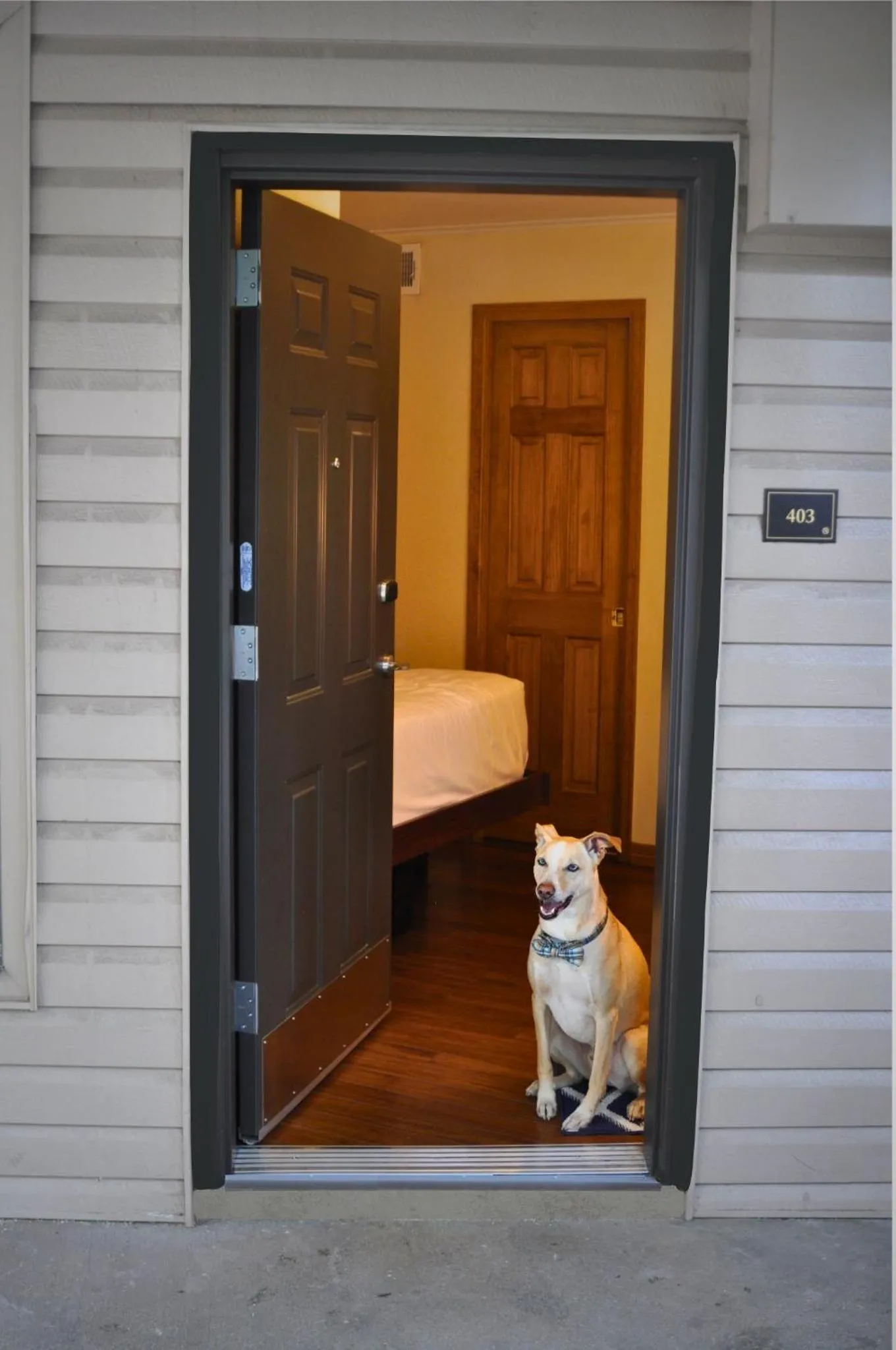 Pets in The Christie Lodge – All Suite Property Vail Valley/Beaver Creek