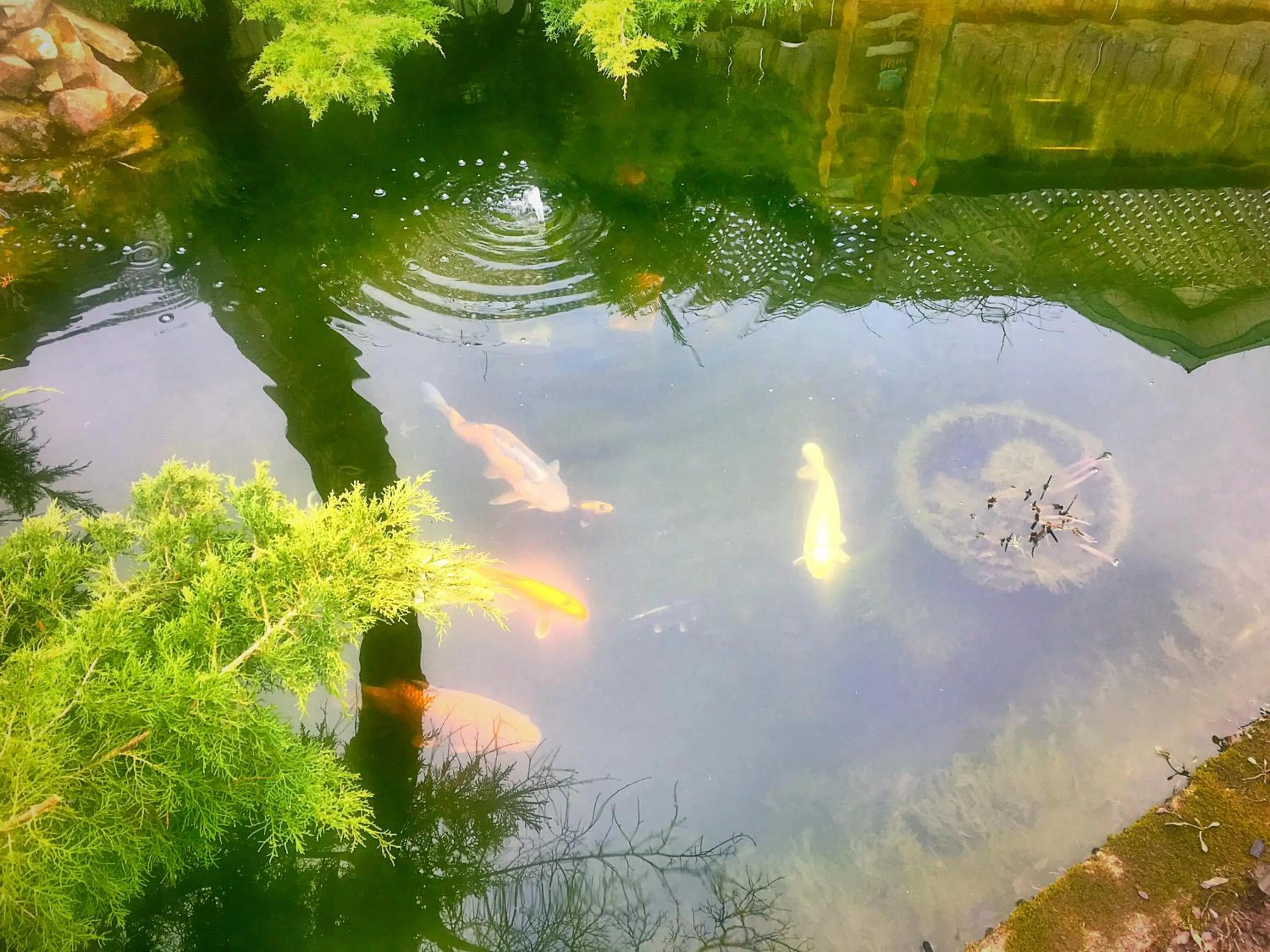 Off site in Blue Gables Bed and Breakfast