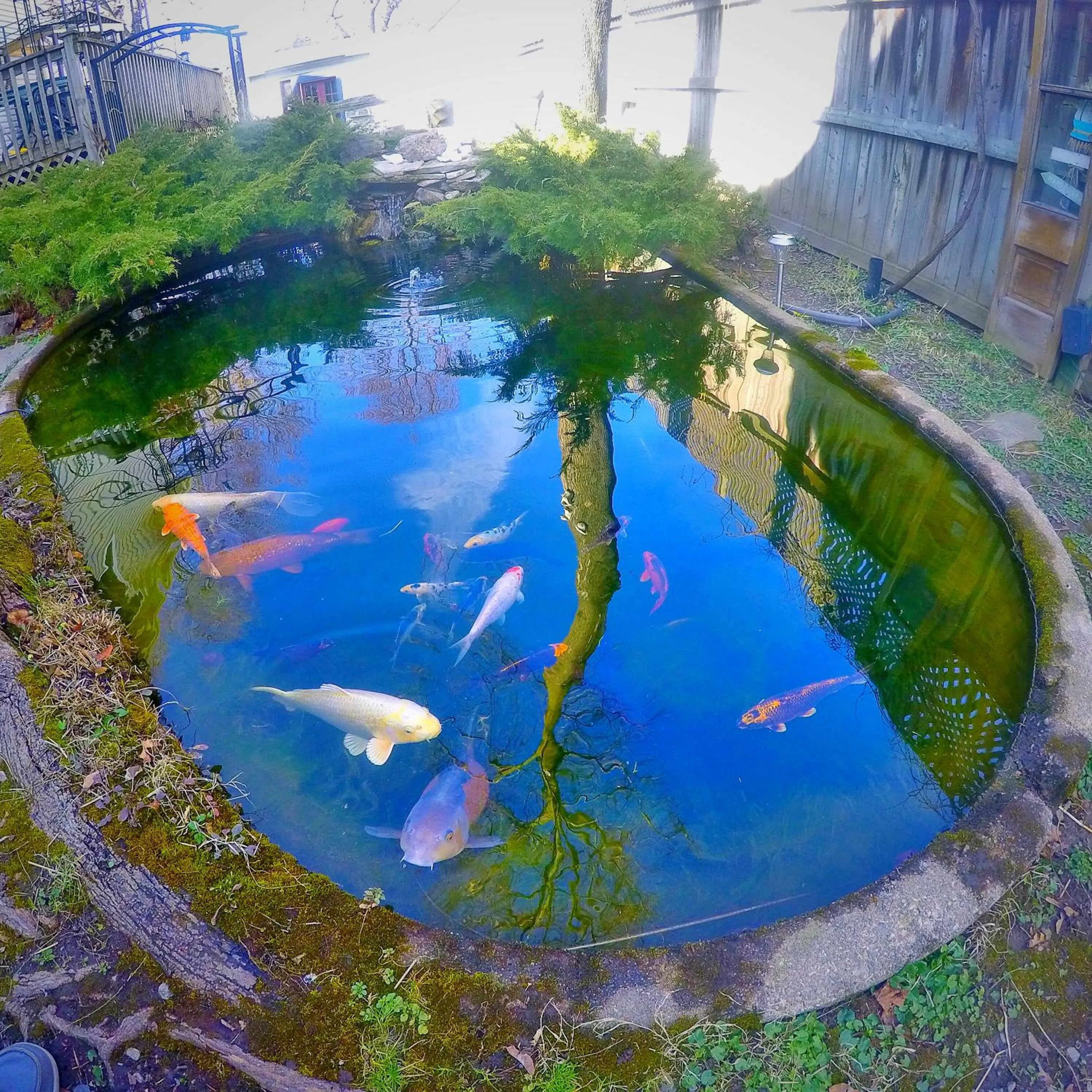 Off site in Blue Gables Bed and Breakfast