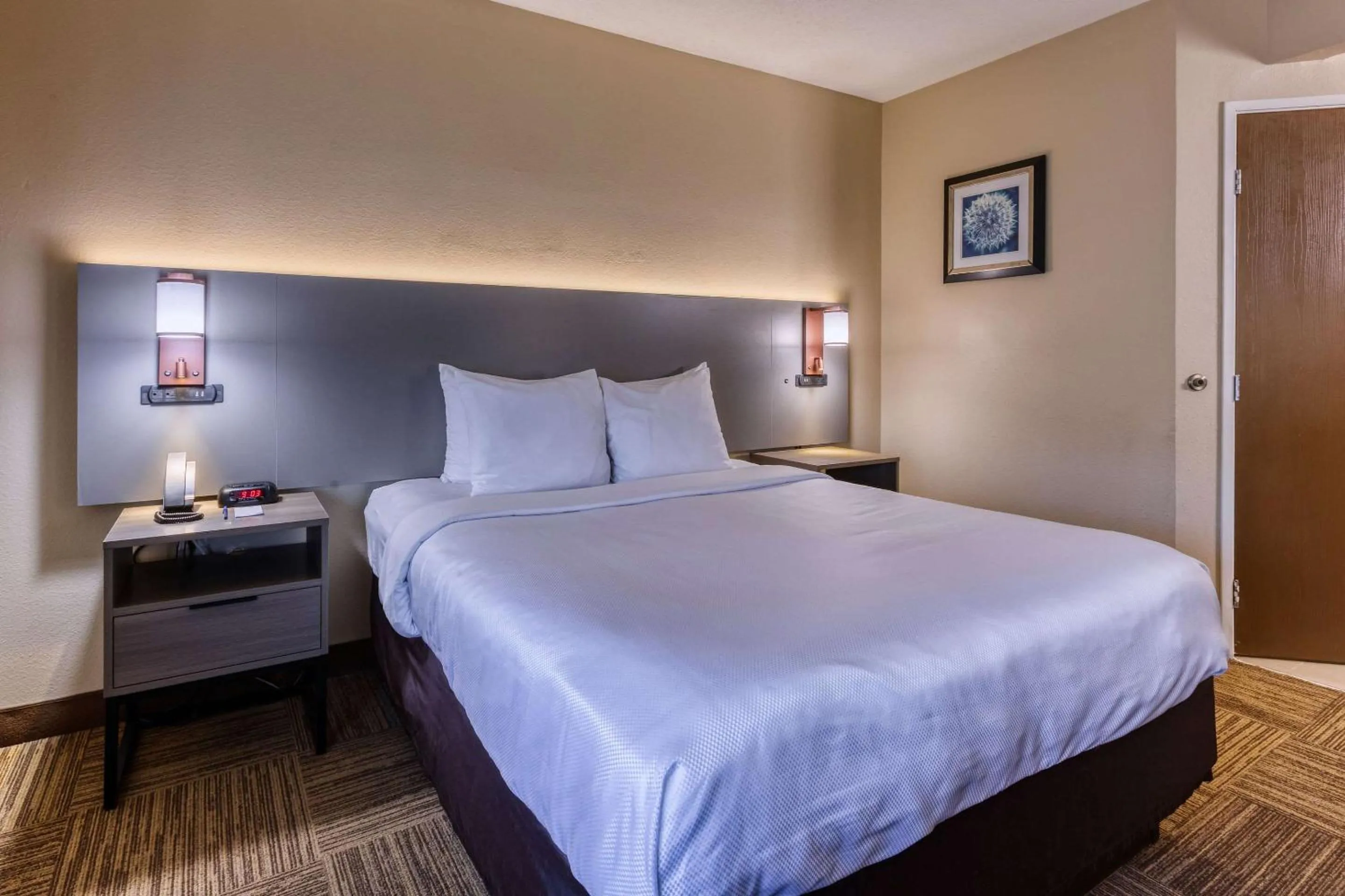 Bedroom, Bed in Comfort Inn & Suites Shepherdsville - Louisville South