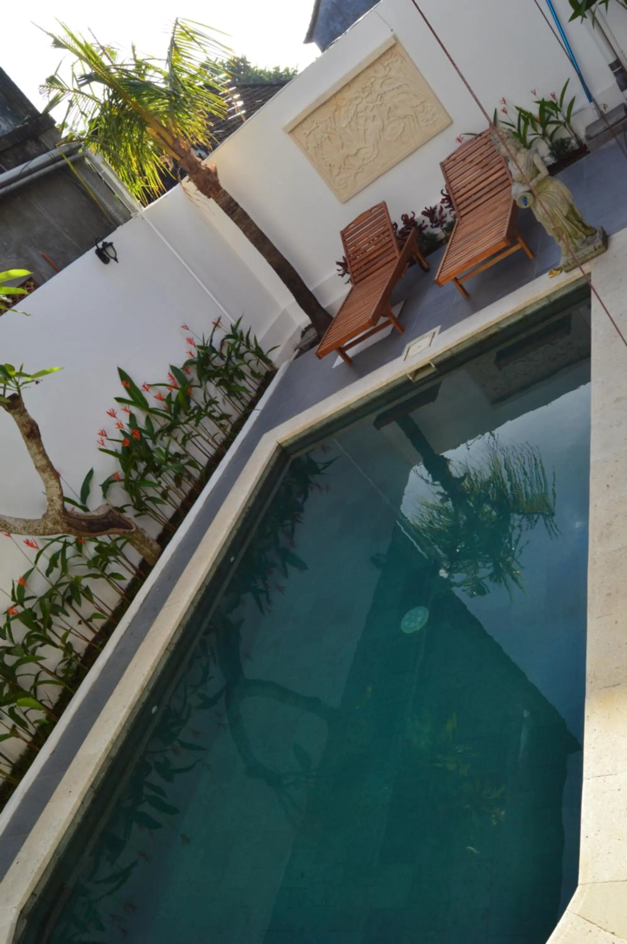 Swimming pool in Askara Guest House & Hostel