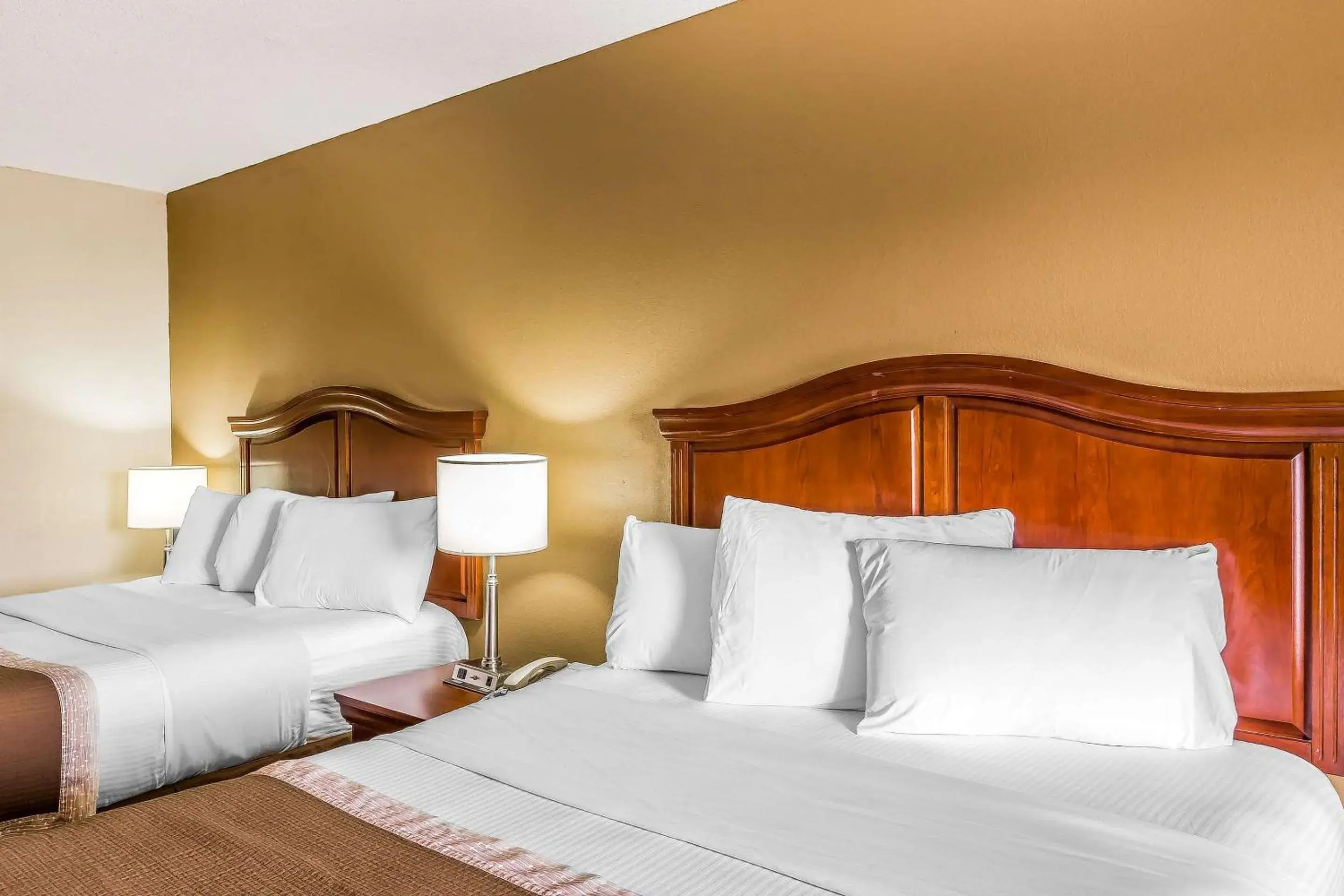 Photo of the whole room, Bed in Rodeway Inn Knoxville East Photo of the whole room, Bed in Rodeway Inn Knoxville East