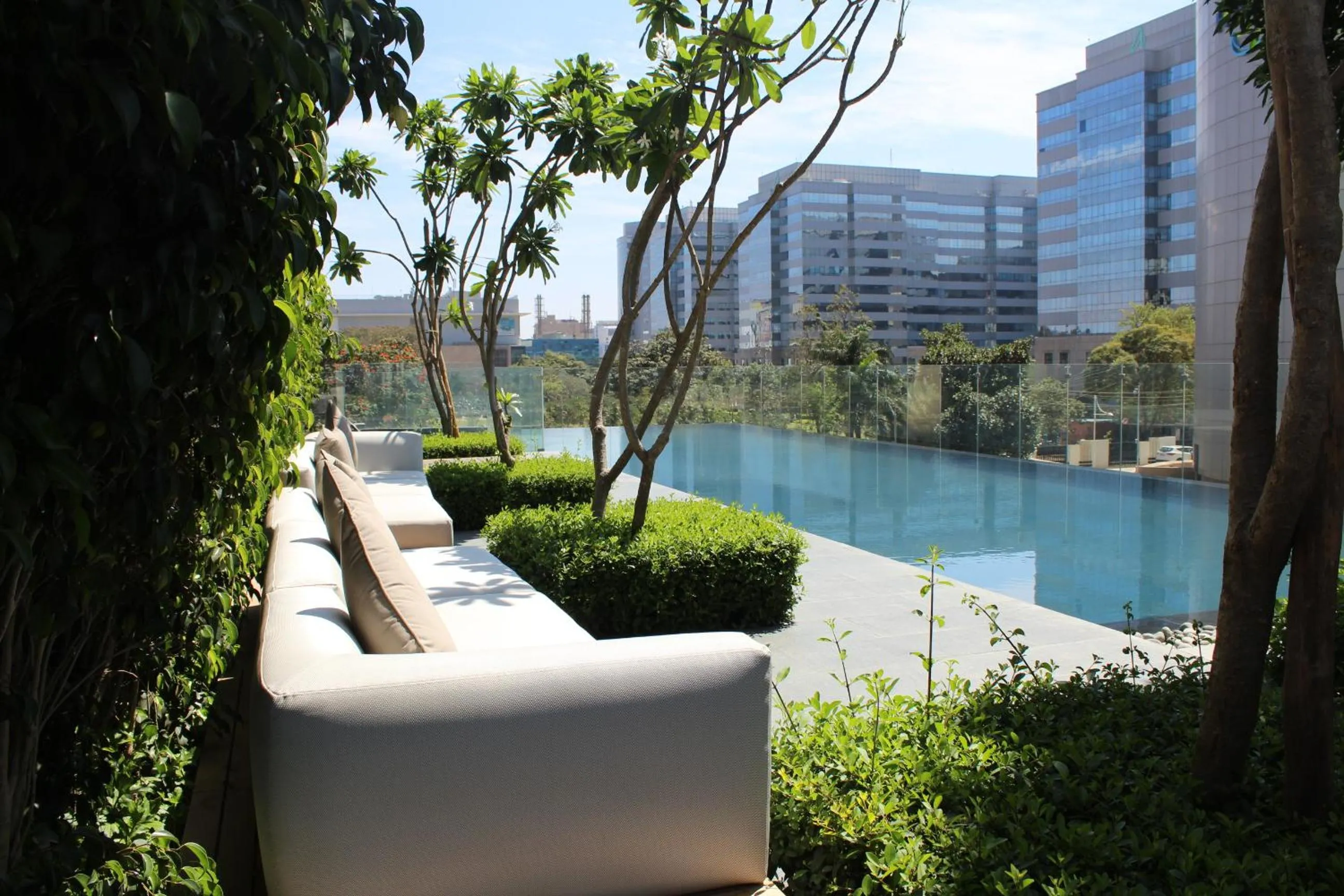 Garden in The Den, Bengaluru