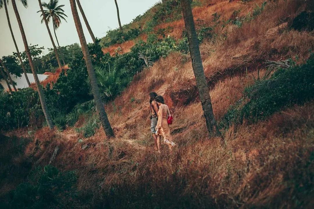 Natural landscape in Sur La Mer