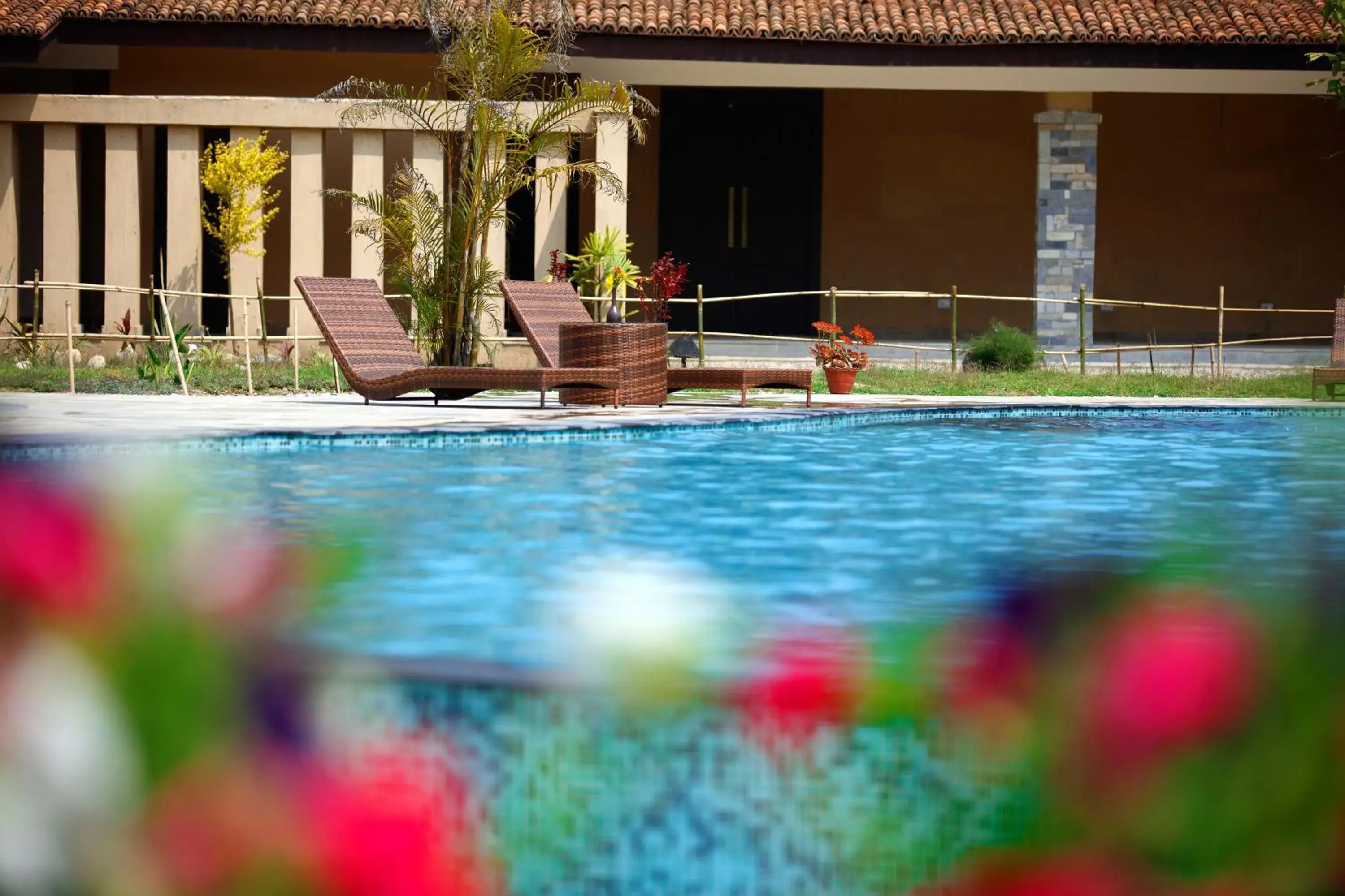 Swimming pool in Jungle Villa Resort - Near Chitwan National Park Swimming pool in Jungle Villa Resort - Near Chitwan National Park