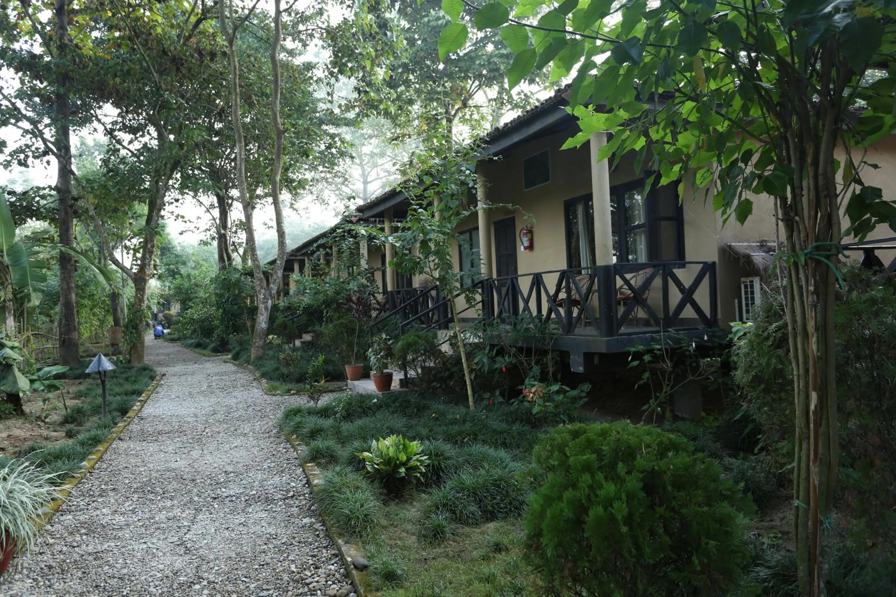 Other in Jungle Villa Resort - Near Chitwan National Park