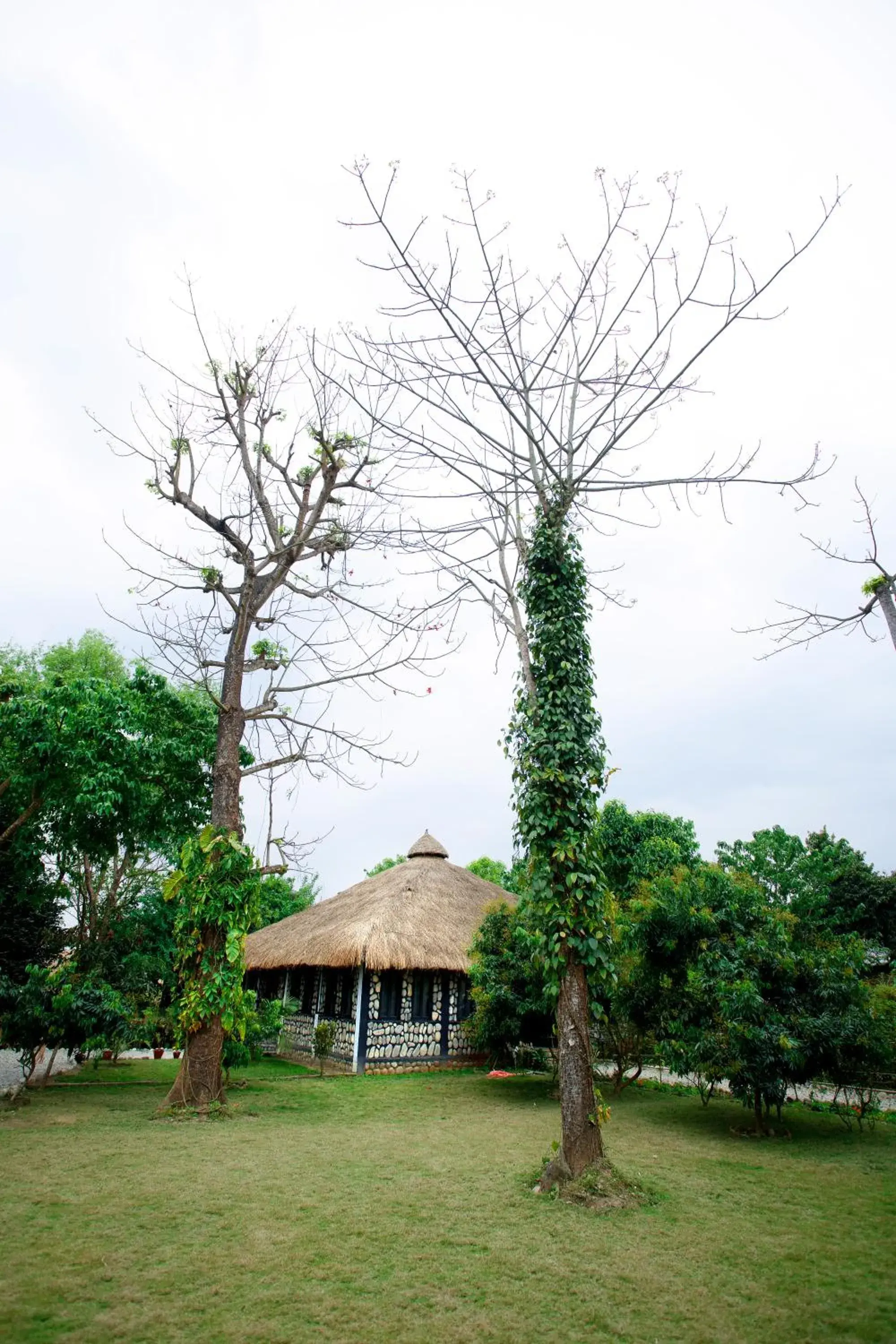 Property building in Jungle Villa Resort - Near Chitwan National Park Property building in Jungle Villa Resort - Near Chitwan National Park