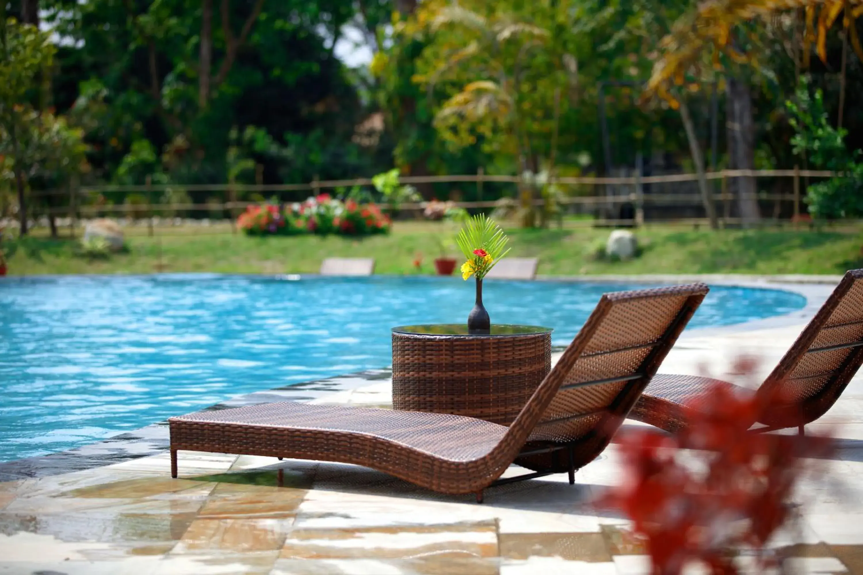 Swimming pool in Jungle Villa Resort - Near Chitwan National Park Swimming pool in Jungle Villa Resort - Near Chitwan National Park