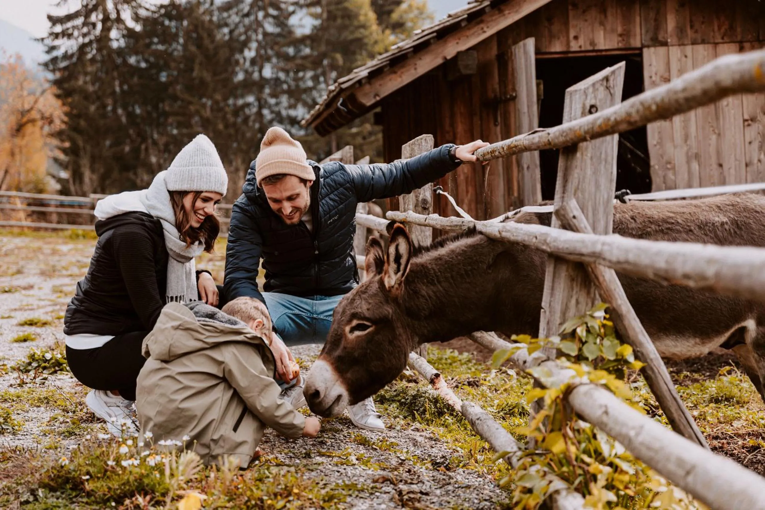 Animals in Hotel Bergschlössl