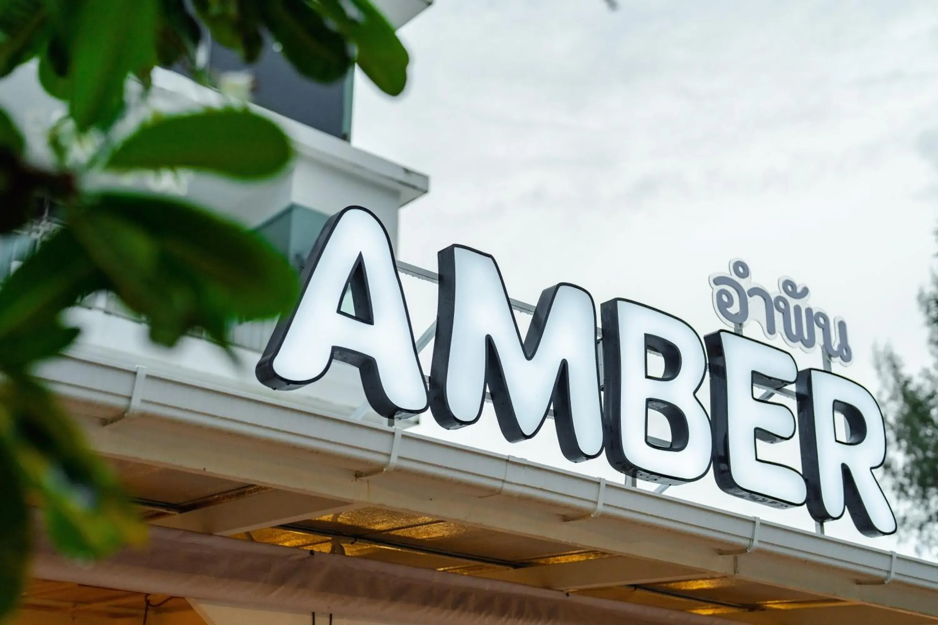 Restaurant/places to eat in Baumancasa Beach Resort Restaurant/places to eat in Baumancasa Beach Resort