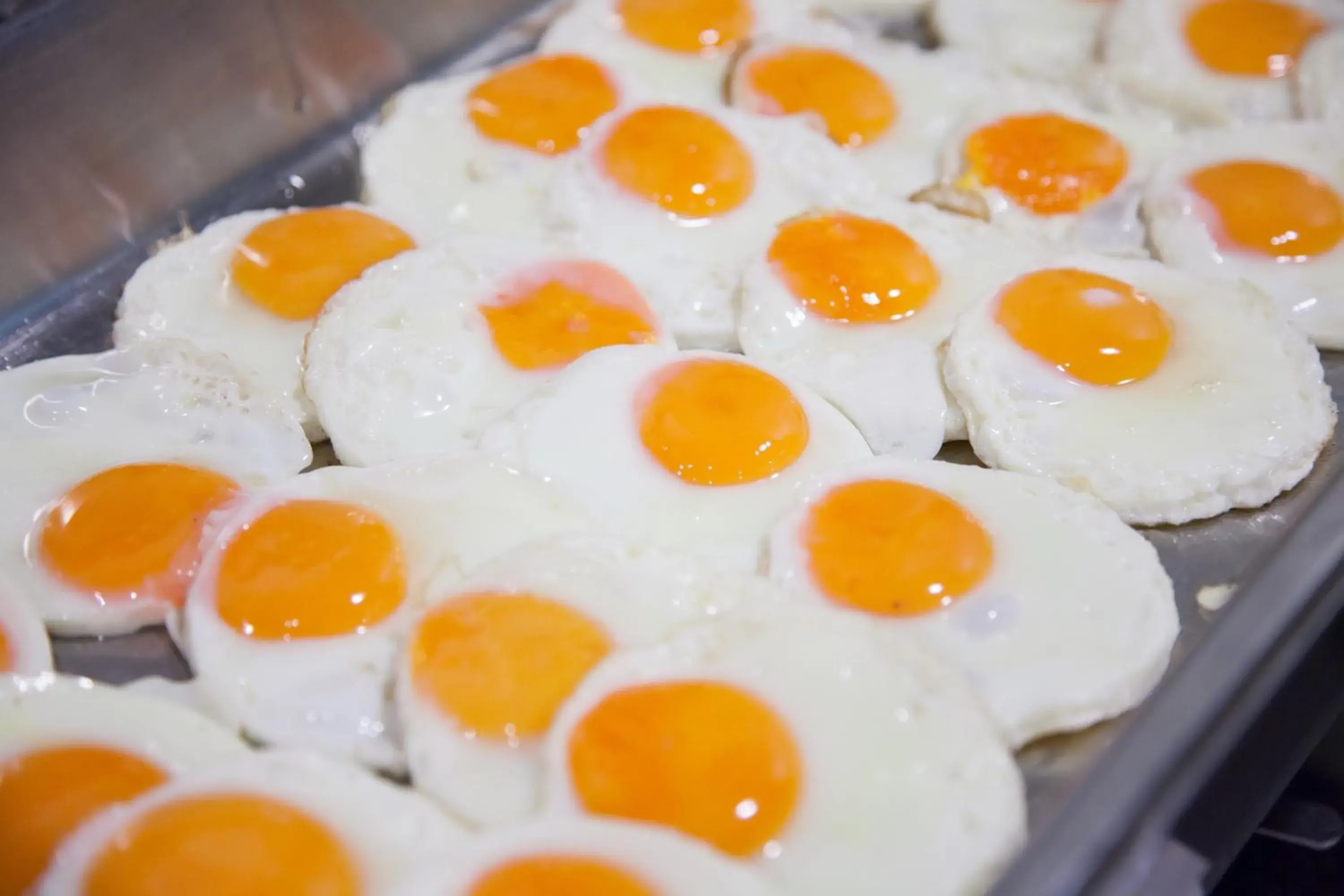 Breakfast in Baumancasa Beach Resort Breakfast in Baumancasa Beach Resort