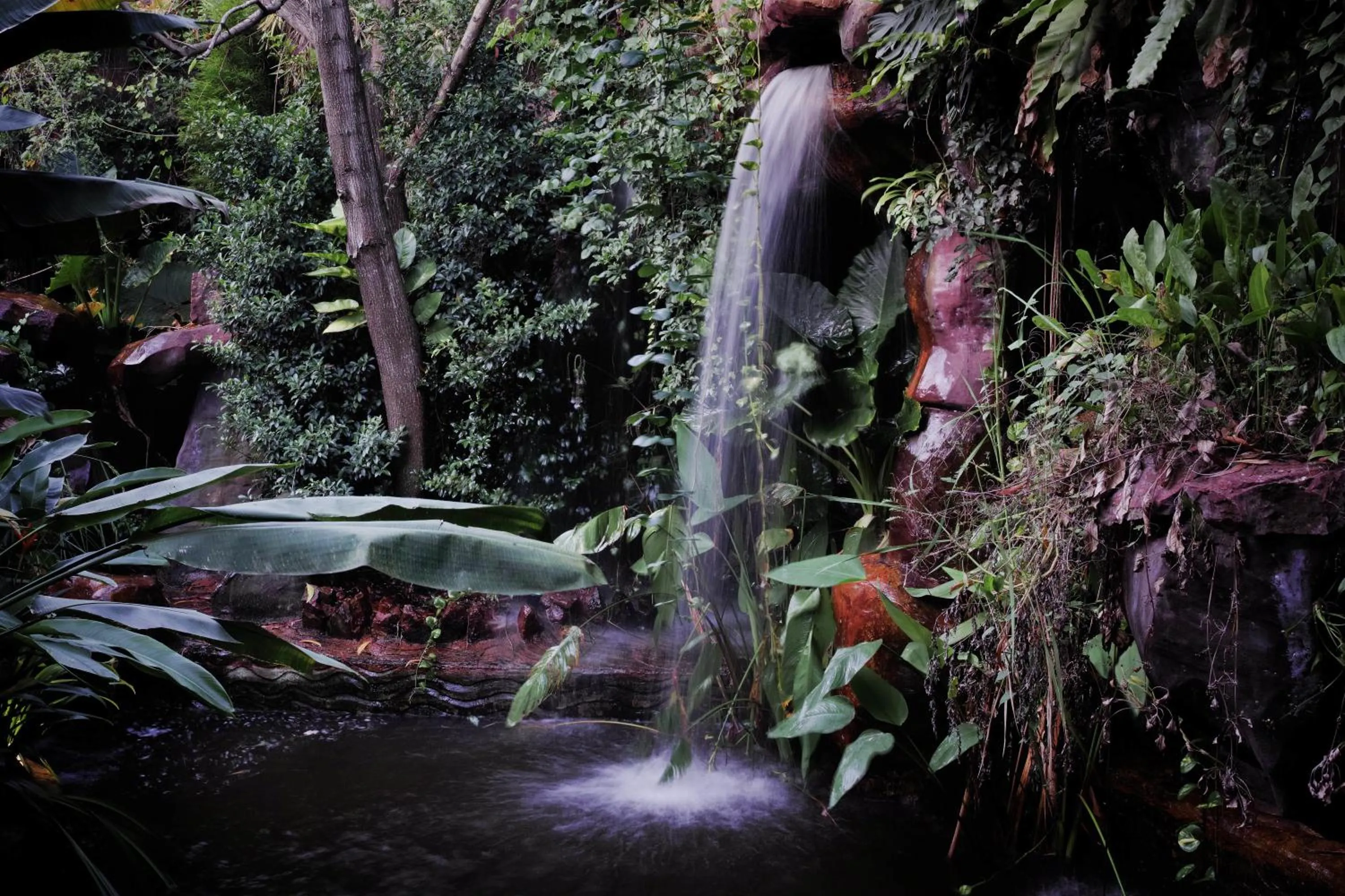 Area and facilities in Palace Residence & Villa Siem Reap