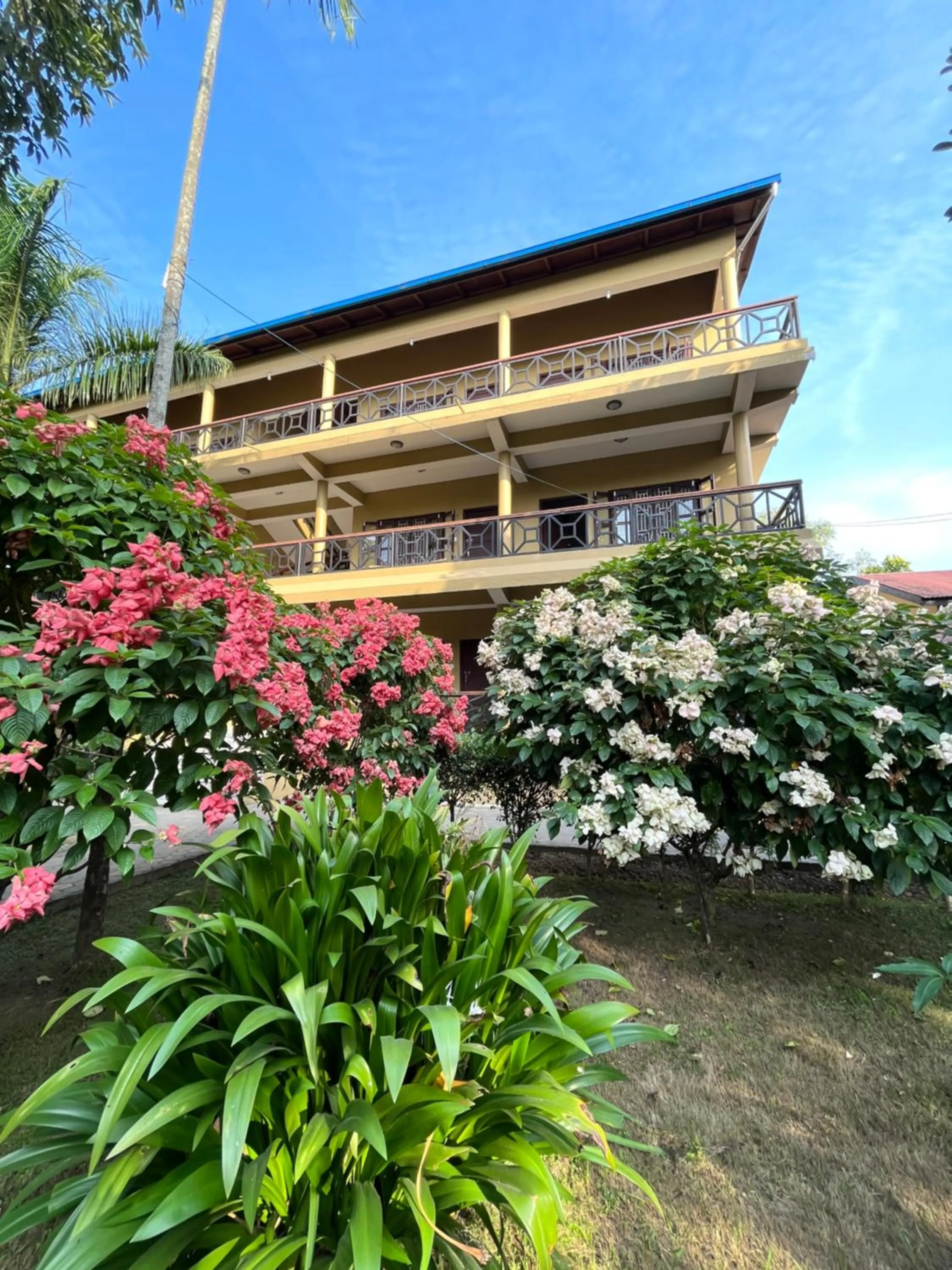 Property building in Tiger Residency Resort