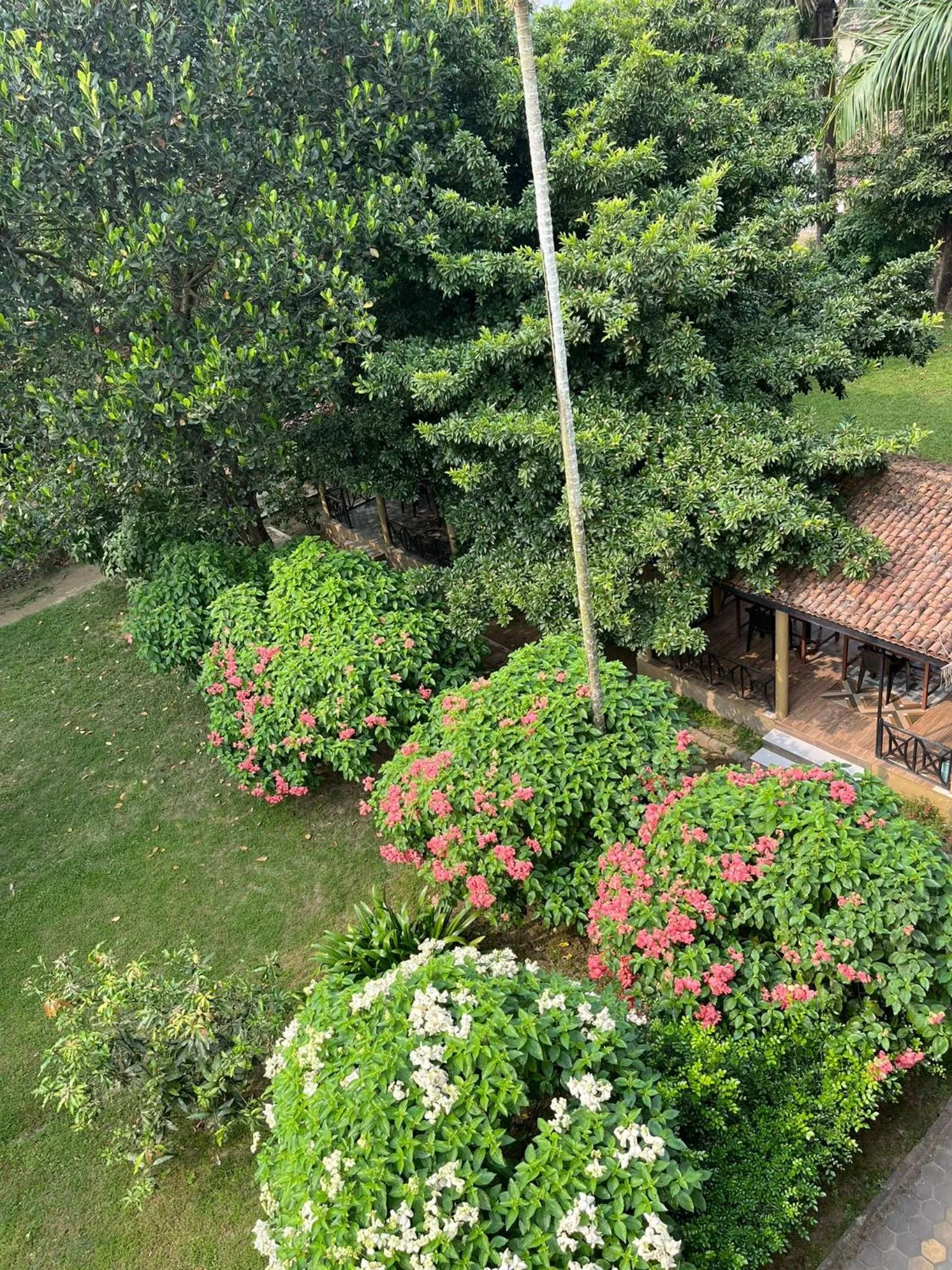 Garden view in Tiger Residency Resort