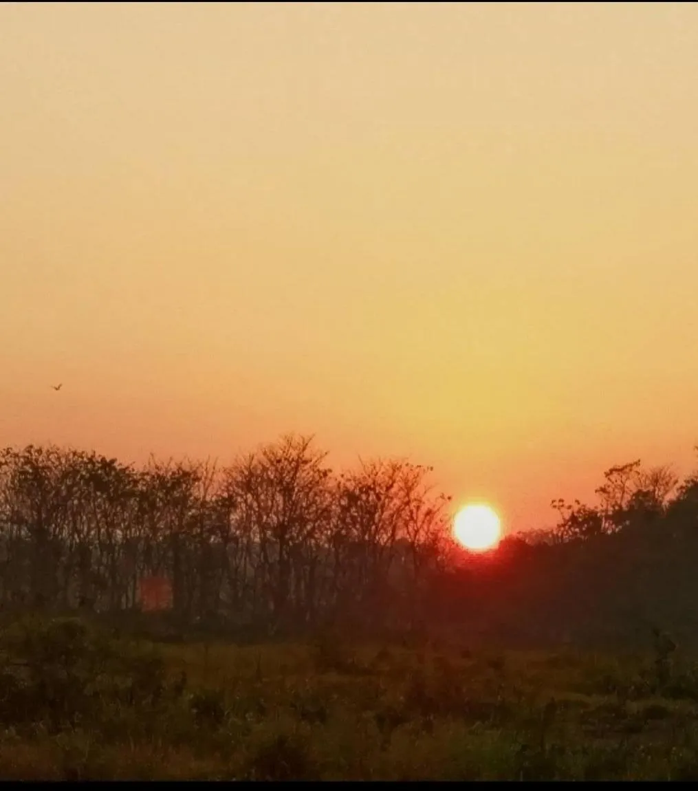 Tiger Residency Resort