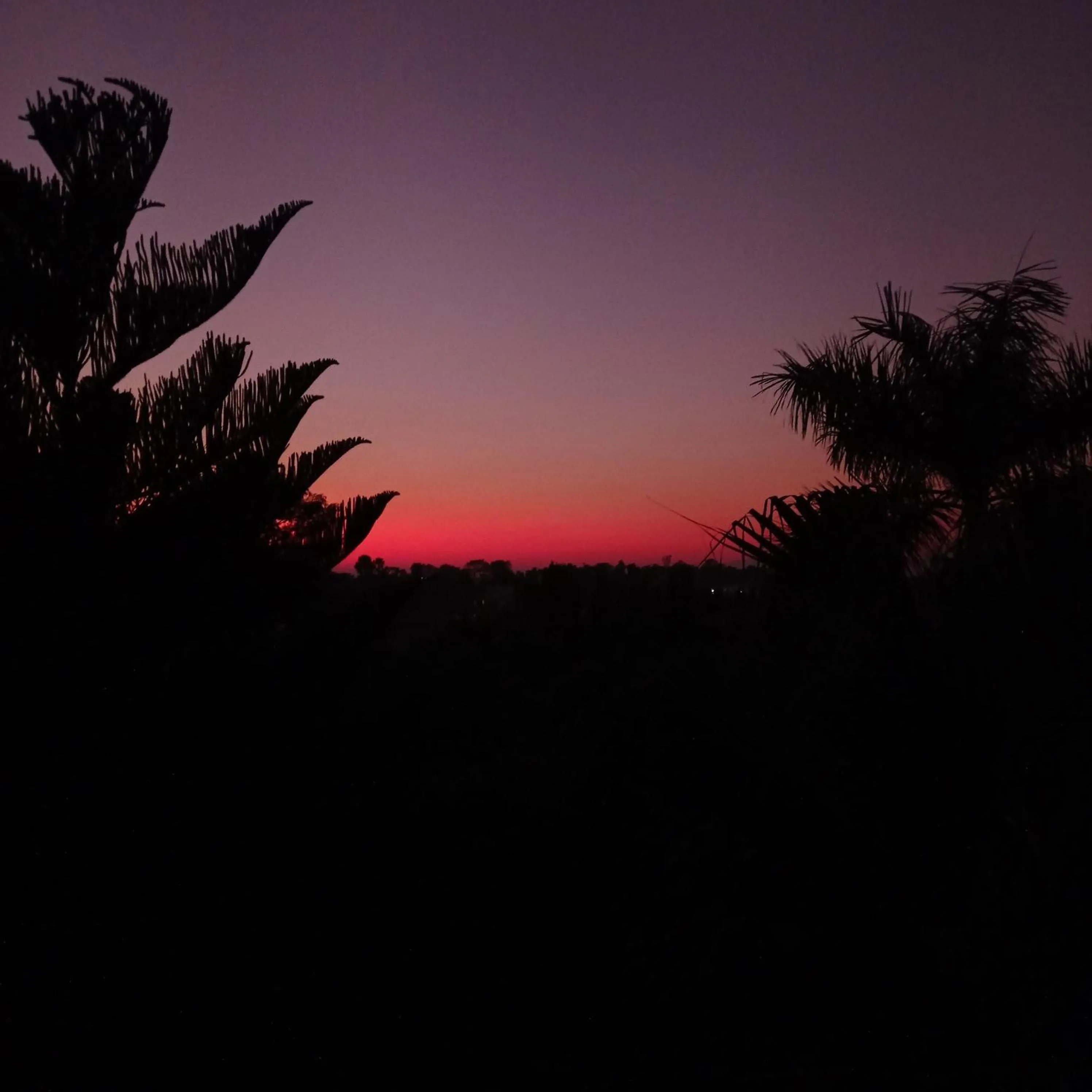 Natural landscape in Tiger Residency Resort