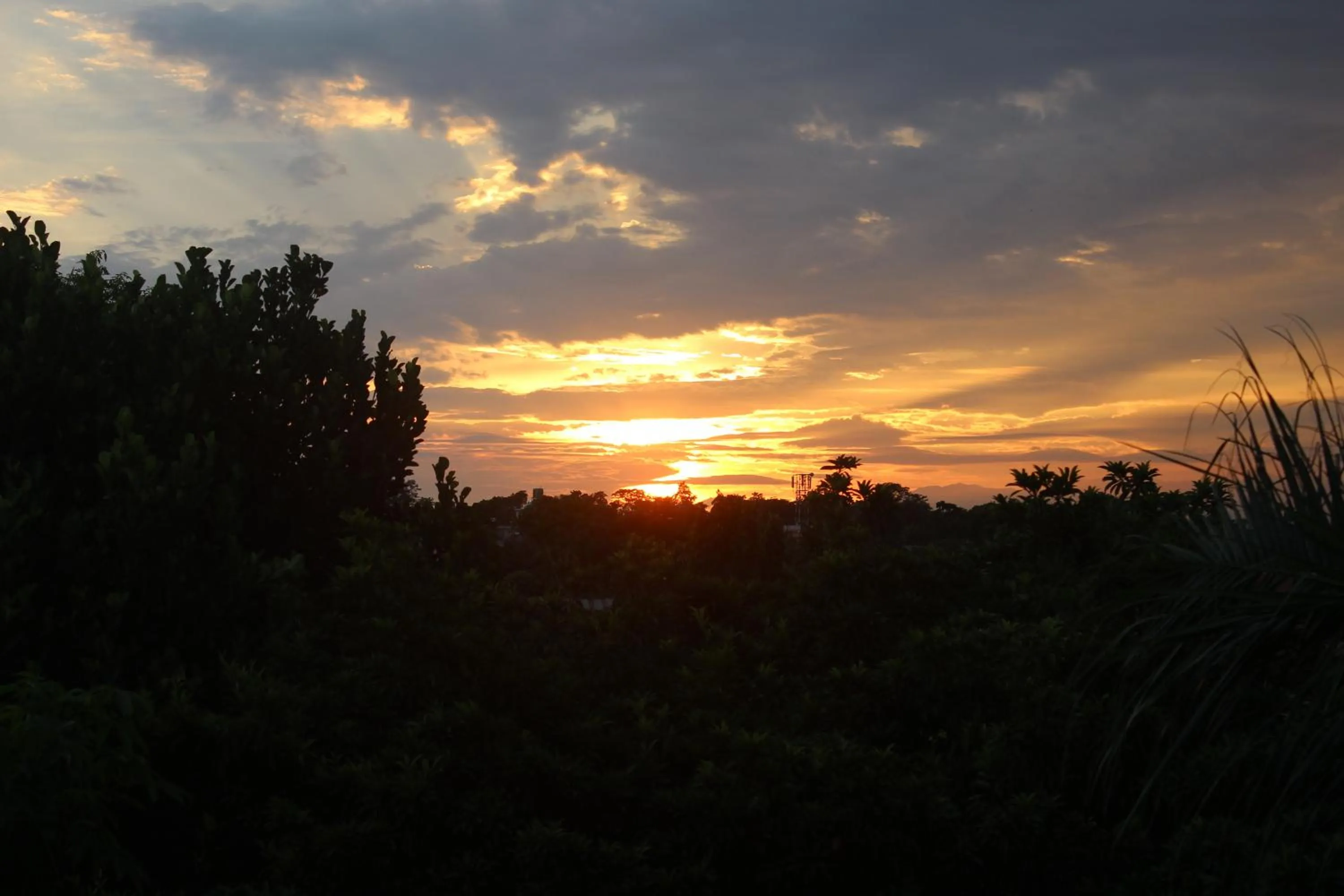 Activities in Tiger Residency Resort